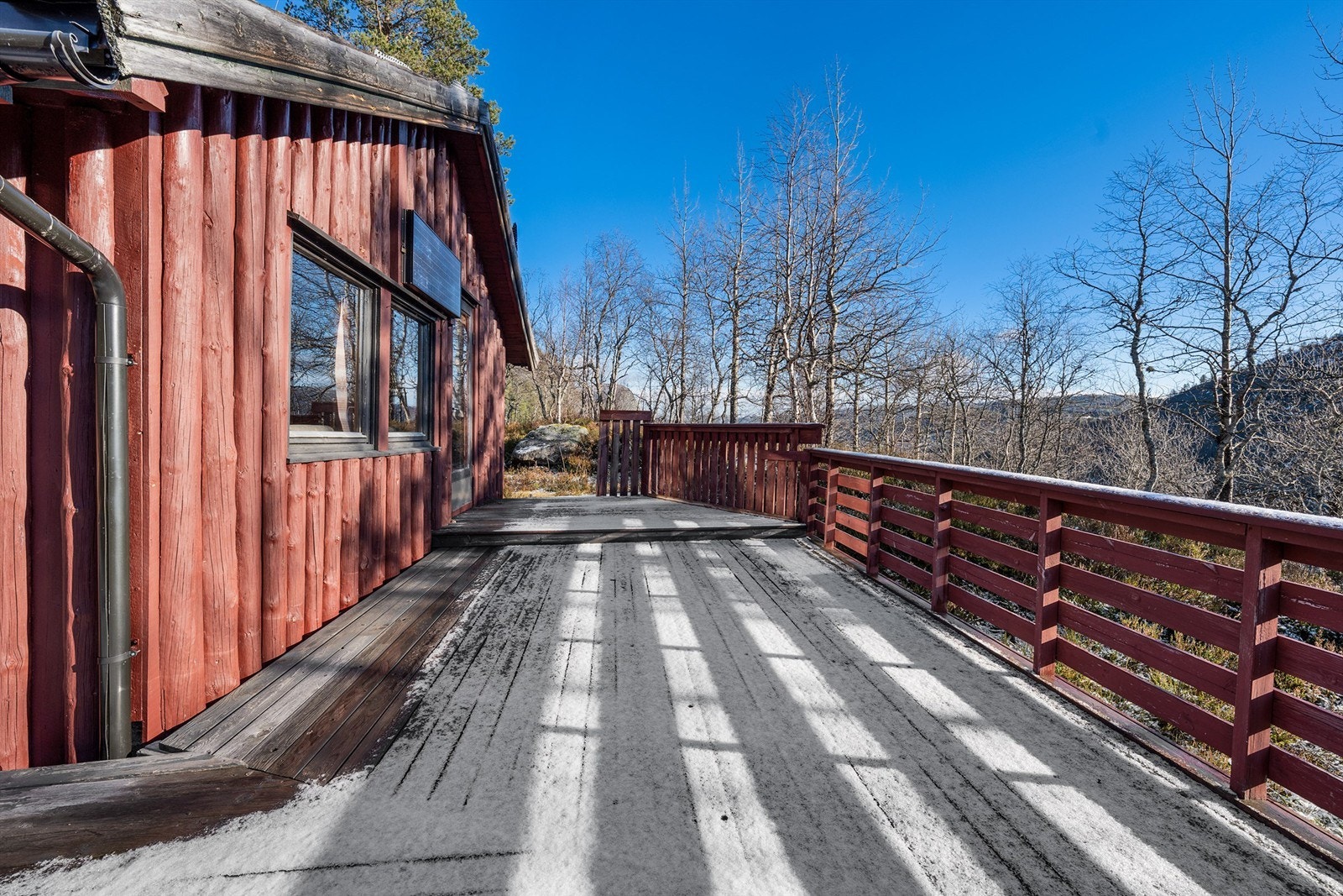 Solrikt og usjenert Galleribilde