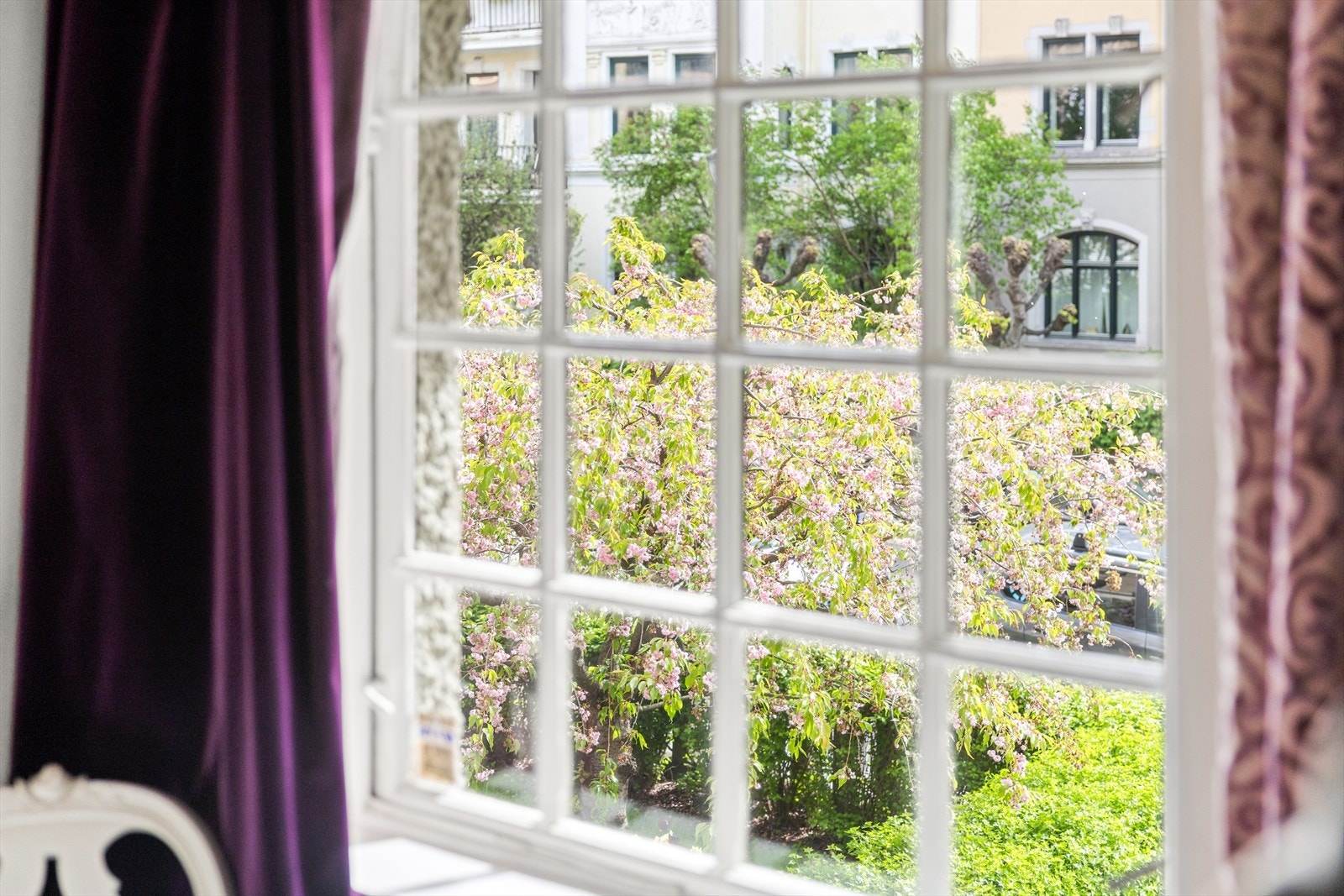 Utsikten mot den grønne, skjermede gårdsplassen skaper en fredfull ramme som understreker rommets rolige atmosfære. Galleribilde