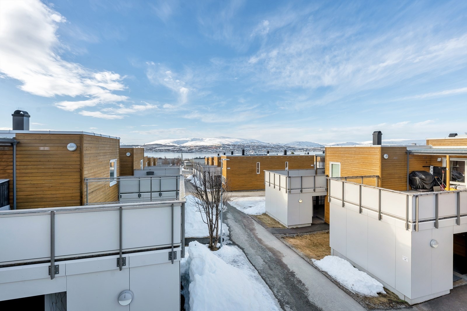 Vakker utsikt Galleribilde