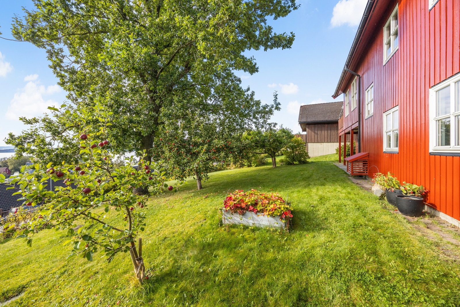 Tomten måler 826 kvm. Plenlagt område med blomster, busker og trær. Galleribilde