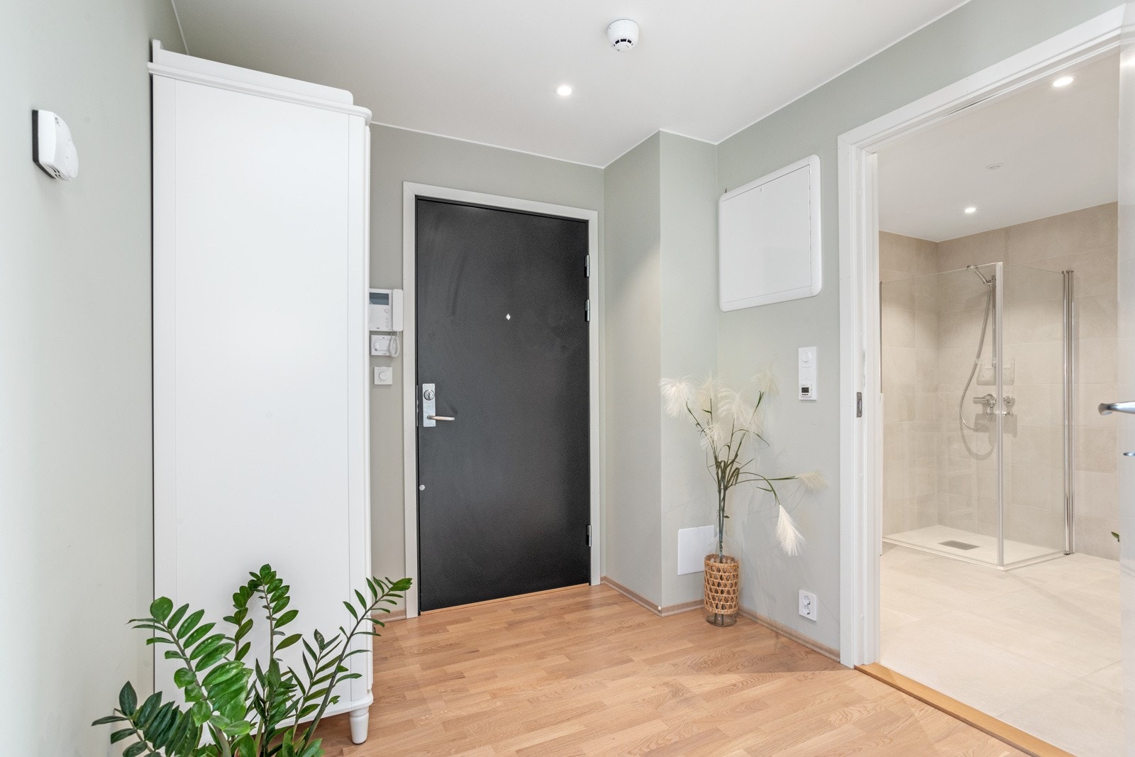 Entréen - det første møte med leiligheten. Galleribilde