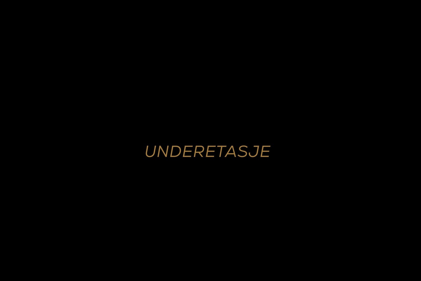 Underetasje Galleribilde
