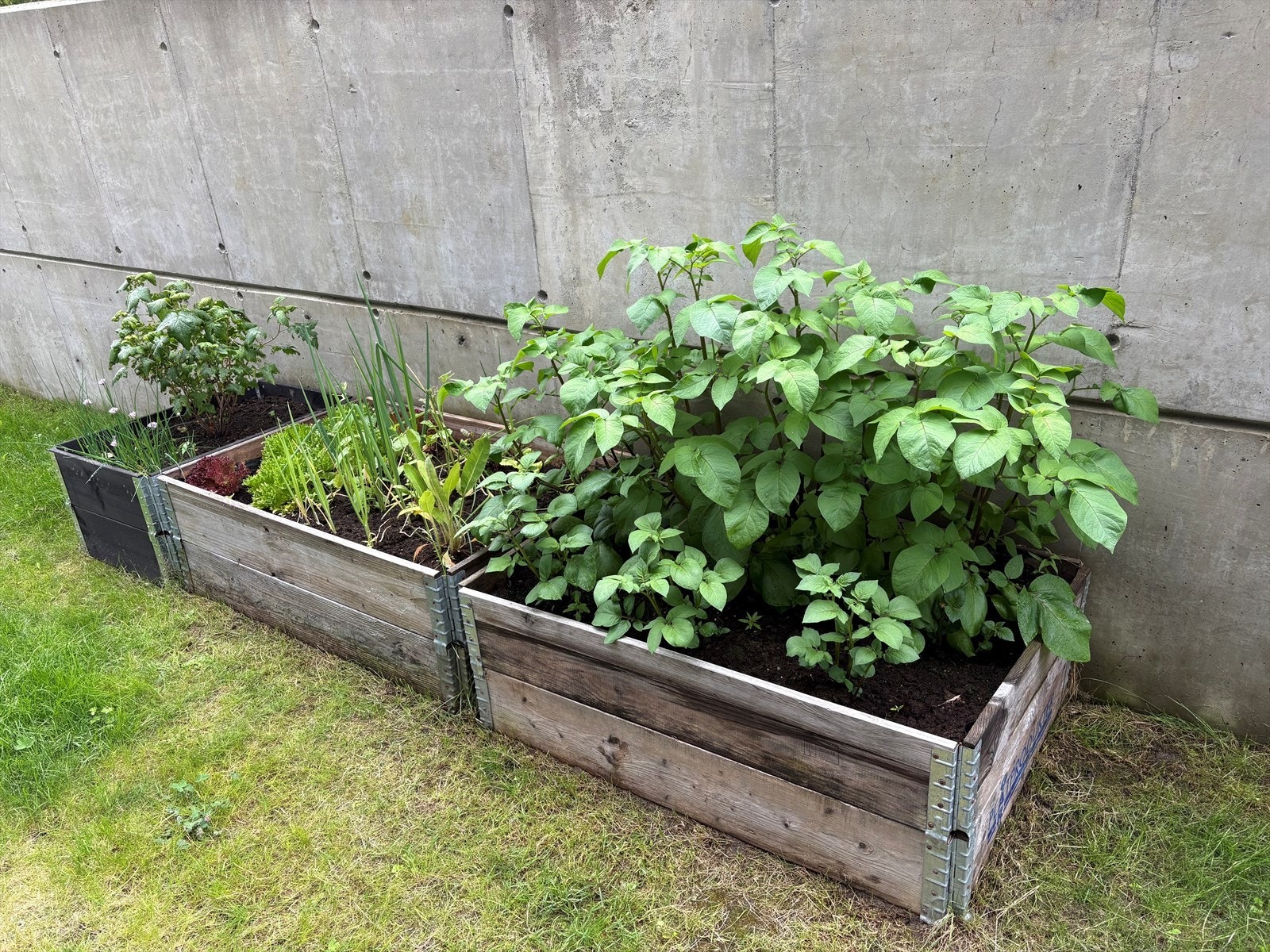 Bak vinterhagen er det anledning til å anlegge urtehage Galleribilde