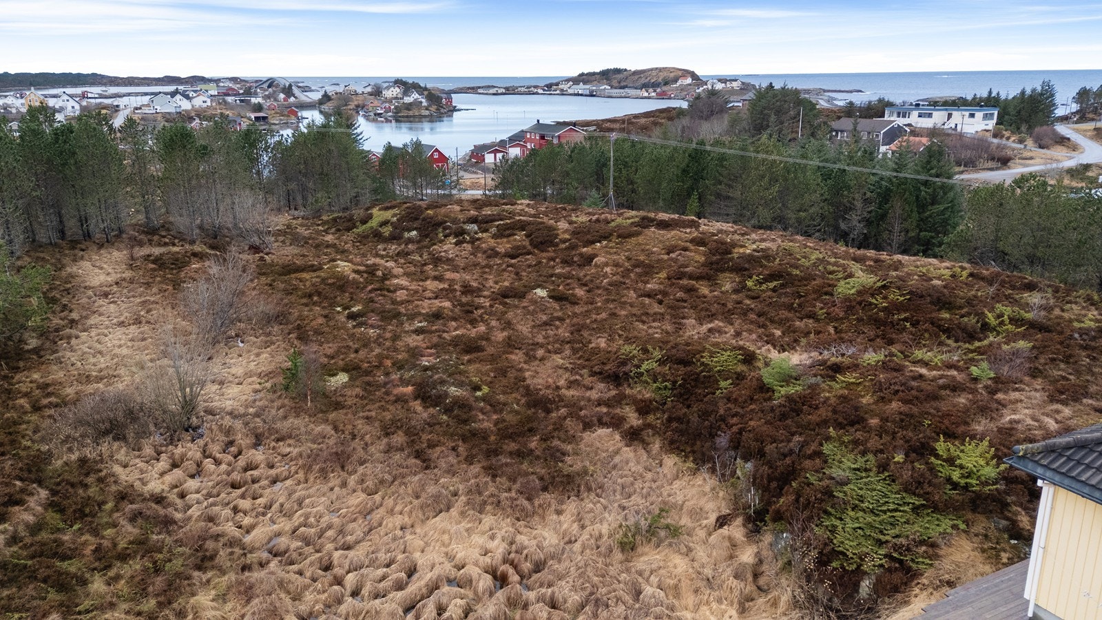Dronebilde over tomten tatt østfra, mot sørvest Galleribilde
