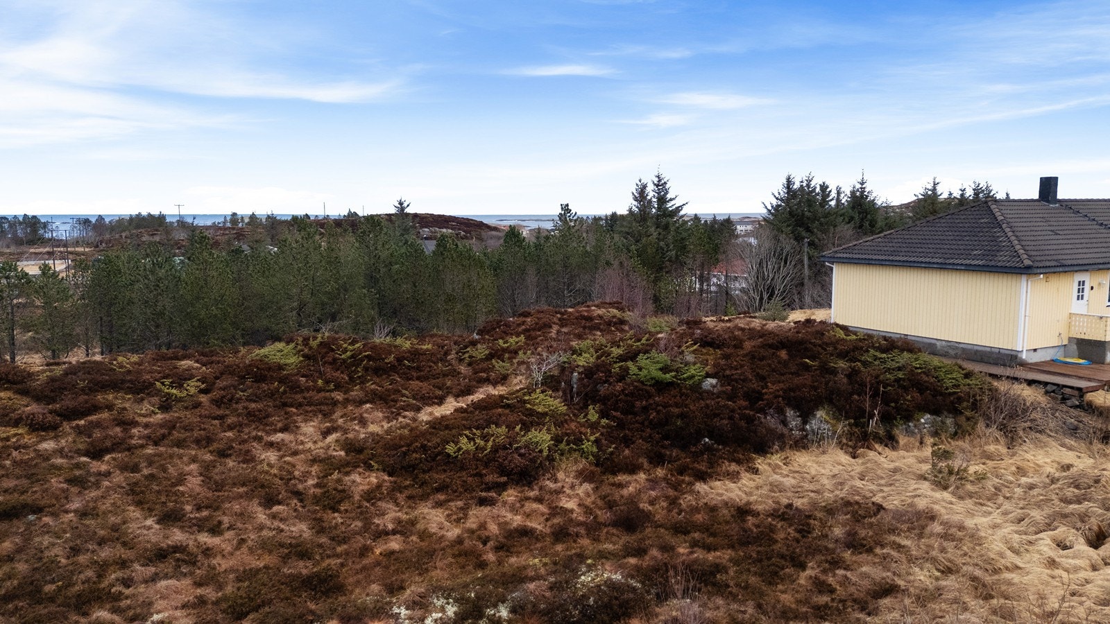 Tomten sett fra sør, mot vest Galleribilde