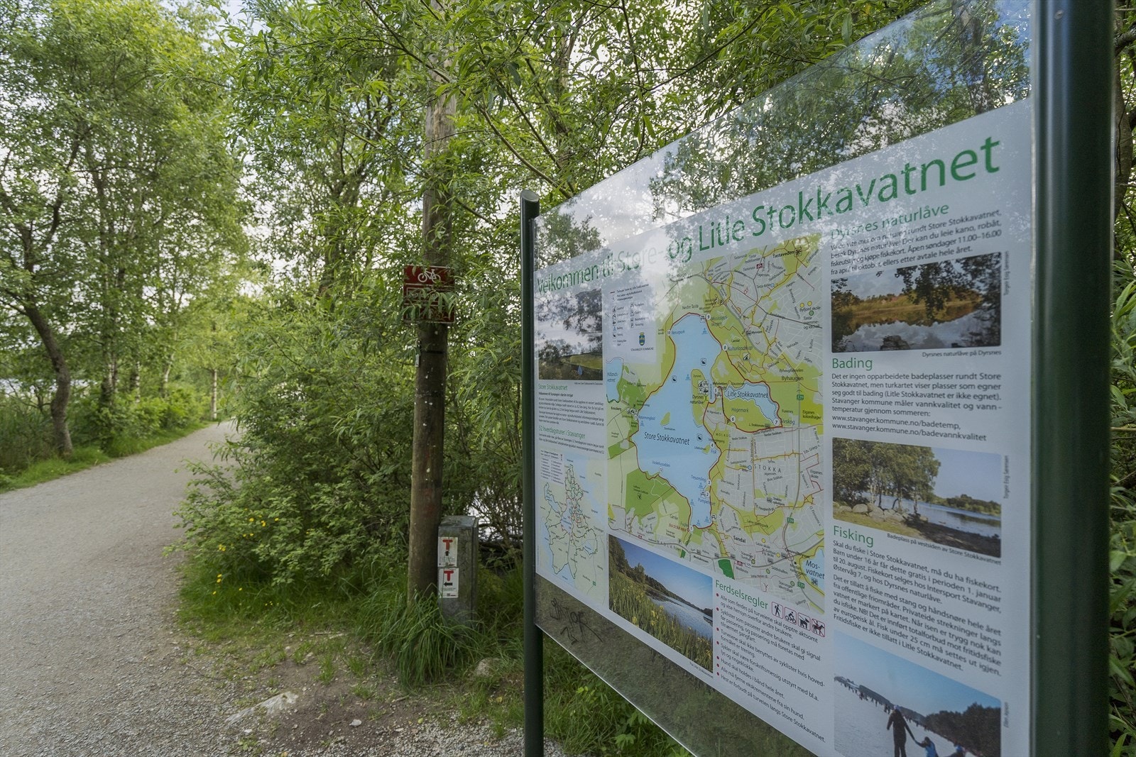 Nærområde. Galleribilde