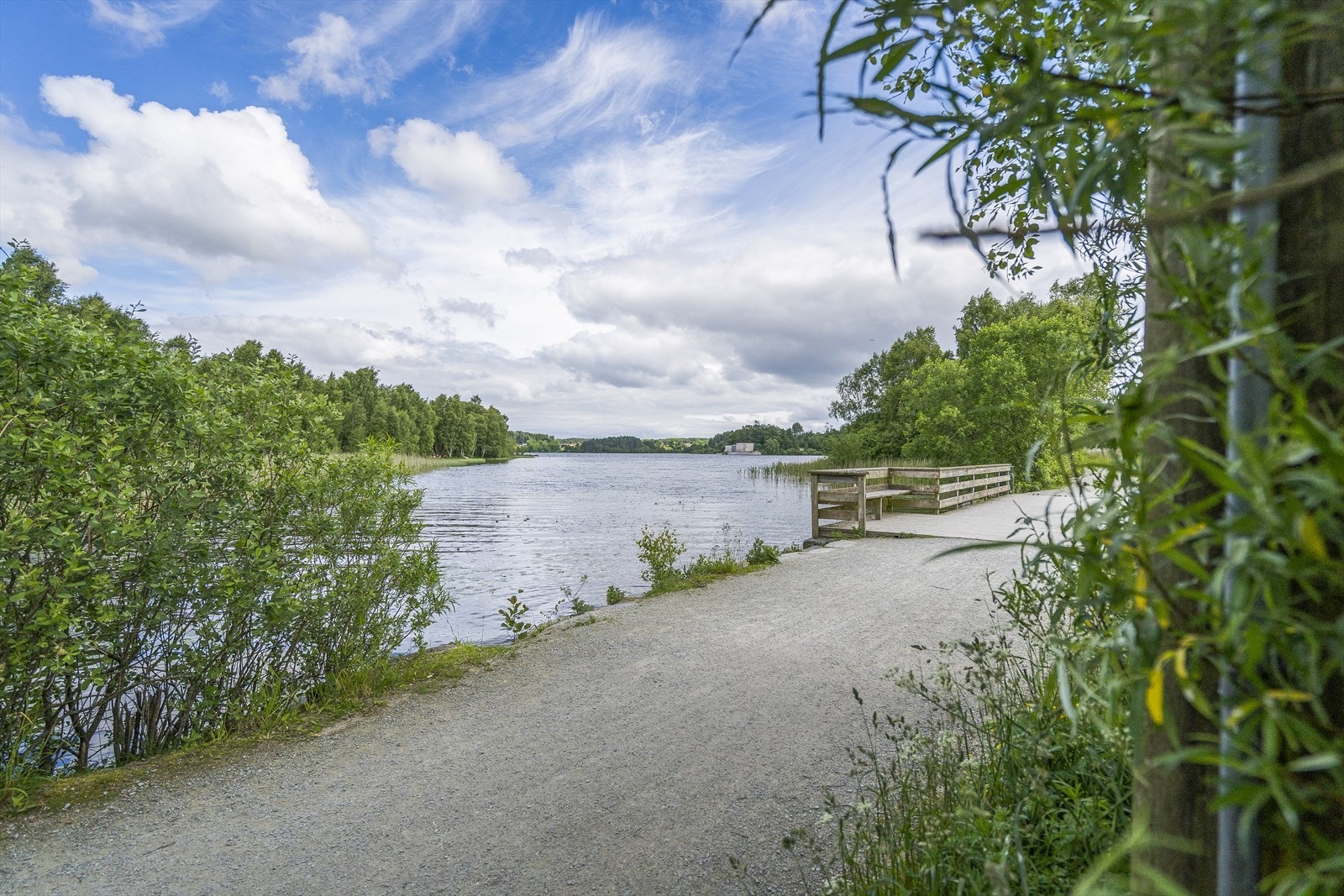 Nærområde. Galleribilde