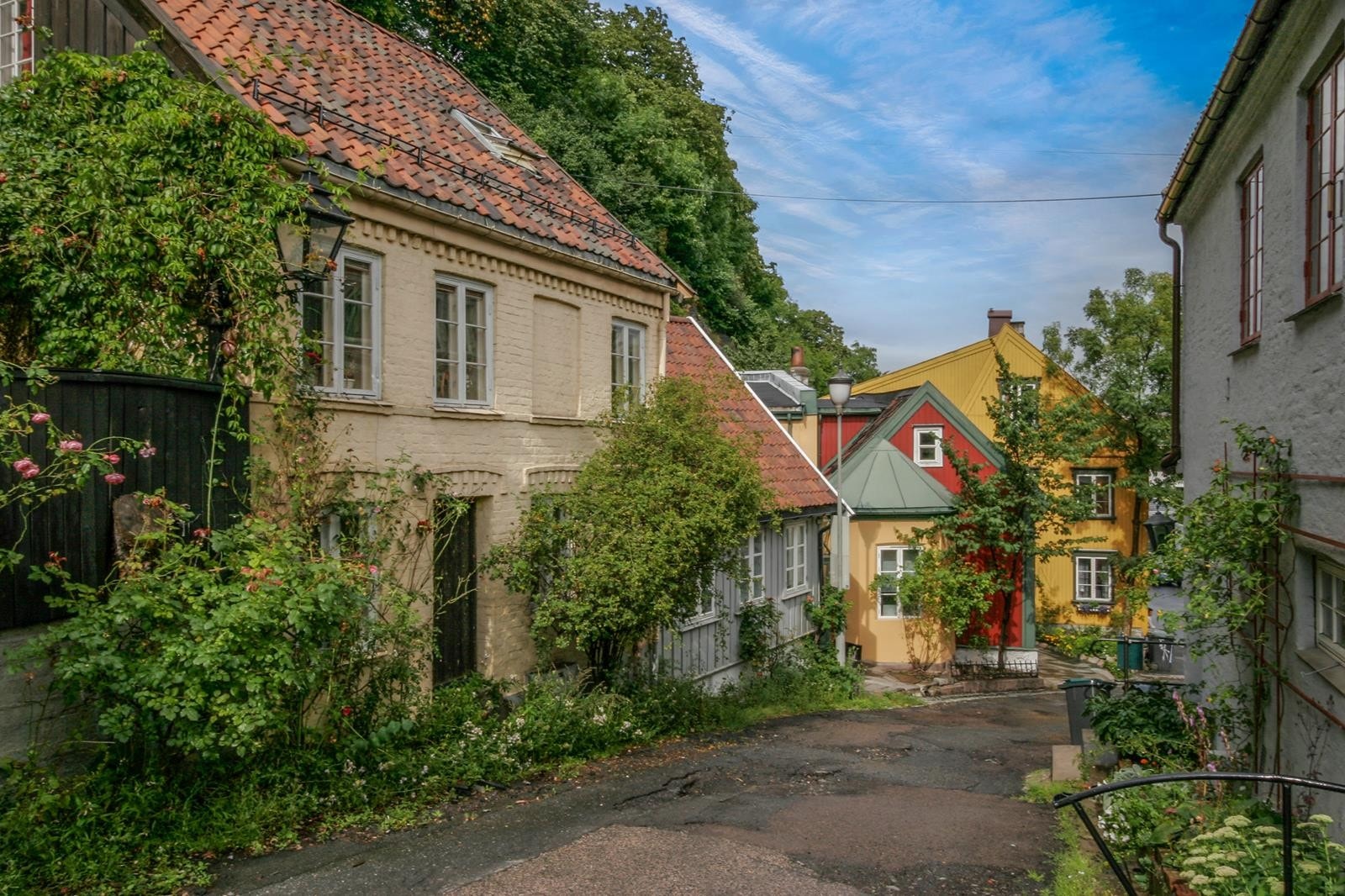 Sjarmerende boligområde, der man kan ta en spasertur i Damstredet Galleribilde