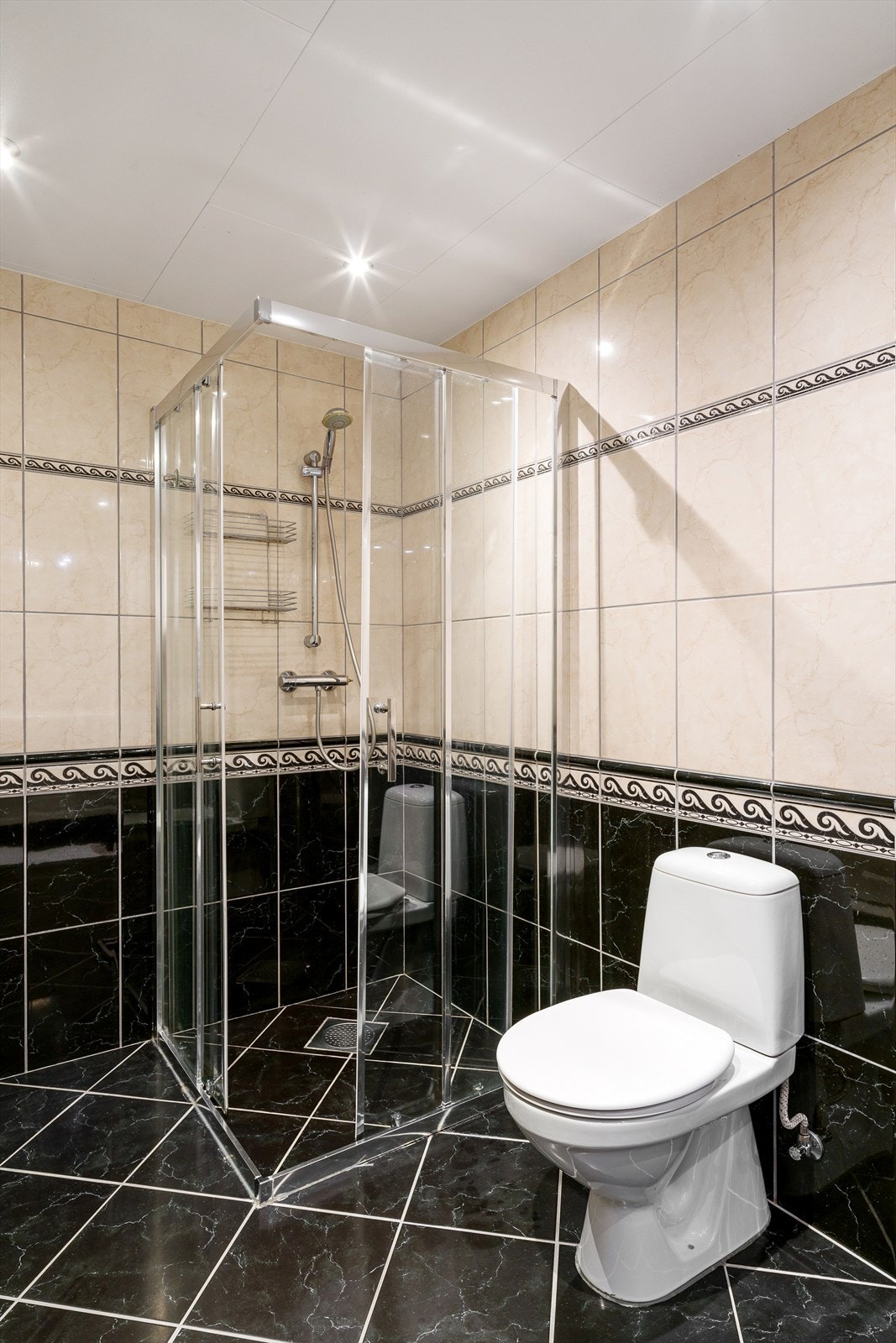 Inrnedet med baderomsseksjon, toalett og dusj. Galleribilde