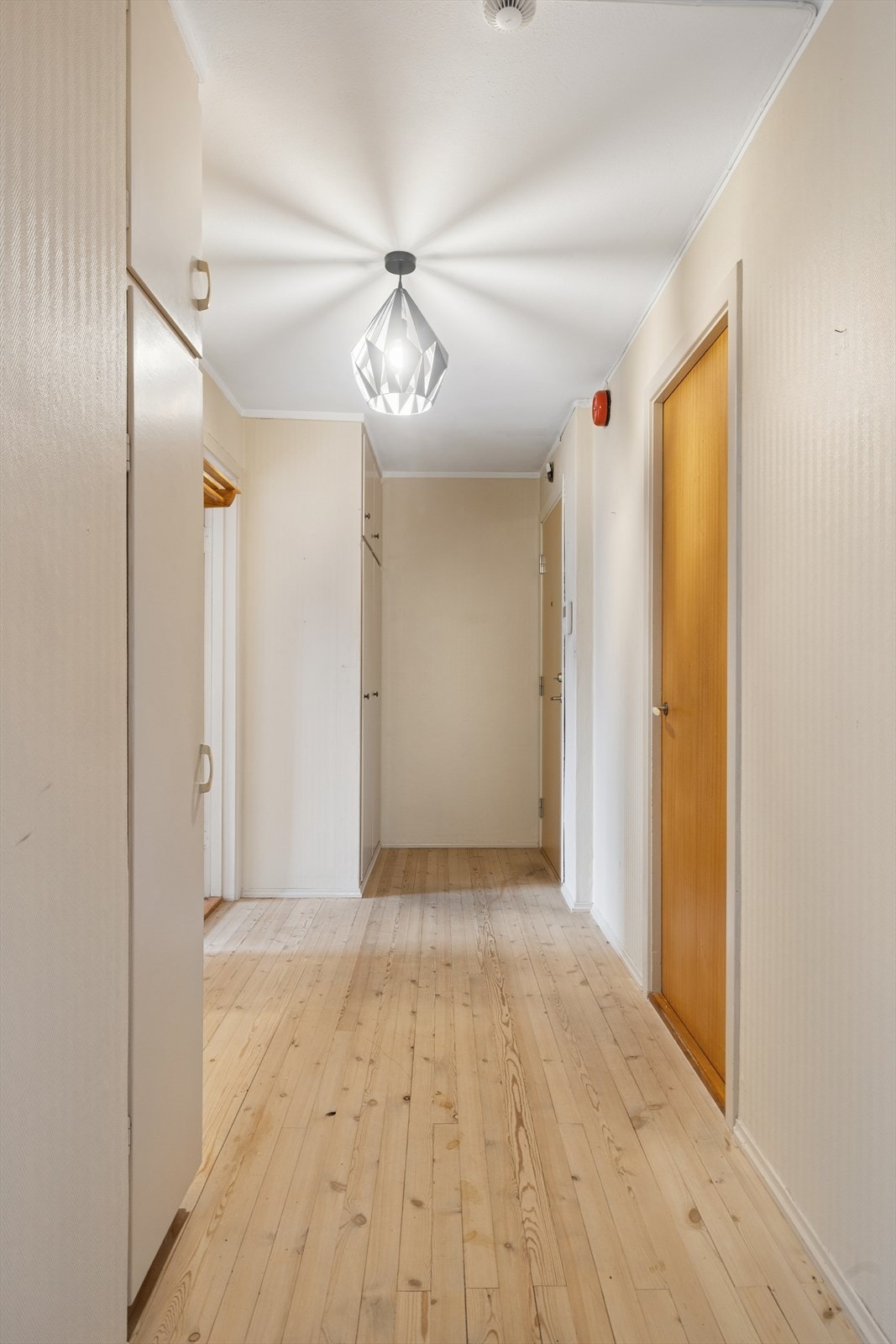 Velkommen til visning! Galleribilde