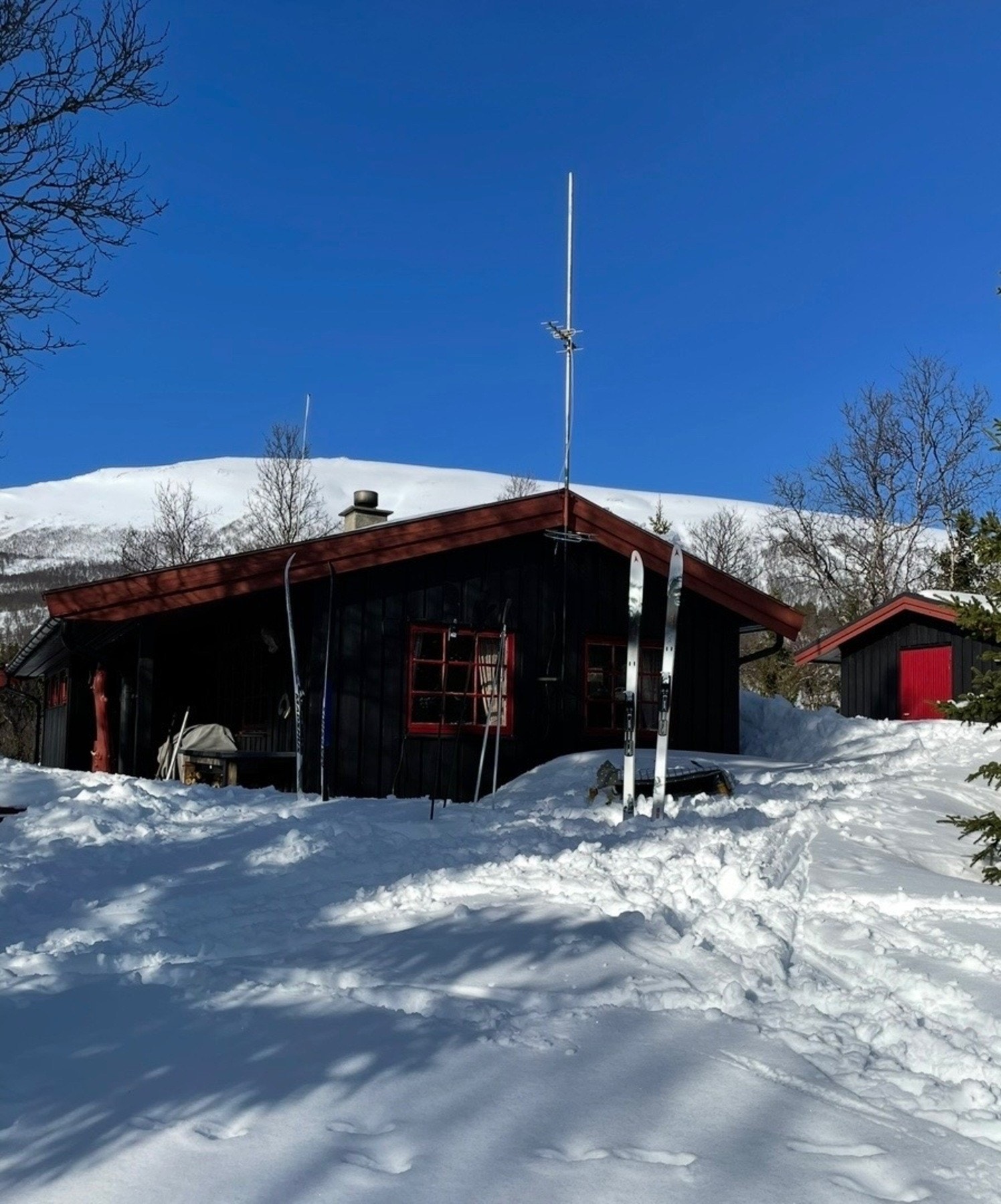 Velkommen til en trivelig visning! Galleribilde