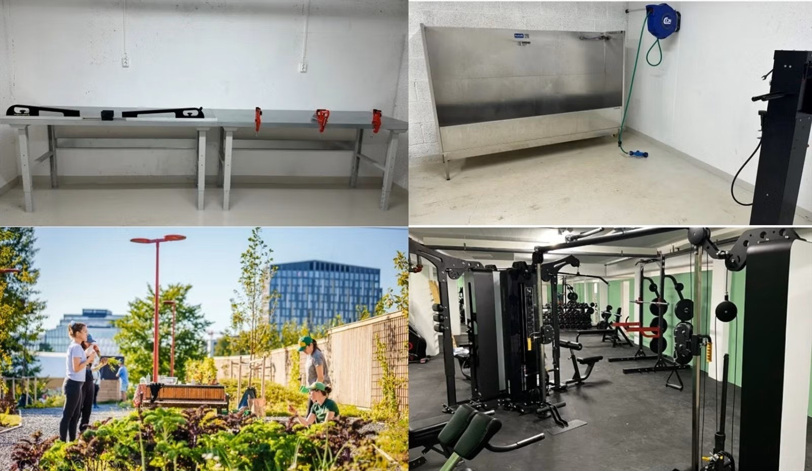 Gården har mange flotte fasiliteter for beboerne! Eget rom for smøring av ski og vask og reparasjon av sykkel. Det er også mulig å bli med i et eget treningssenter og samdyrkelag. Galleribilde