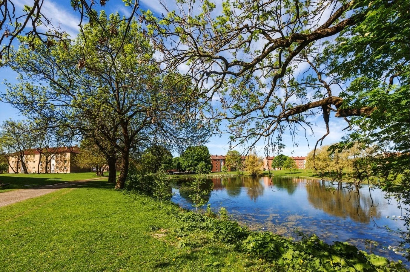Idylliske Hovindammen en kort sykkeltur unna. Galleribilde