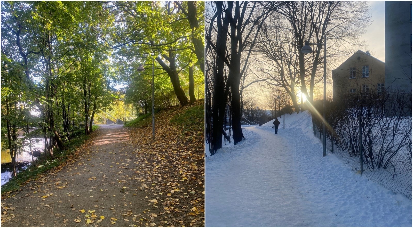 Ut på tur aldri sur. Sommer som vinter. Galleribilde