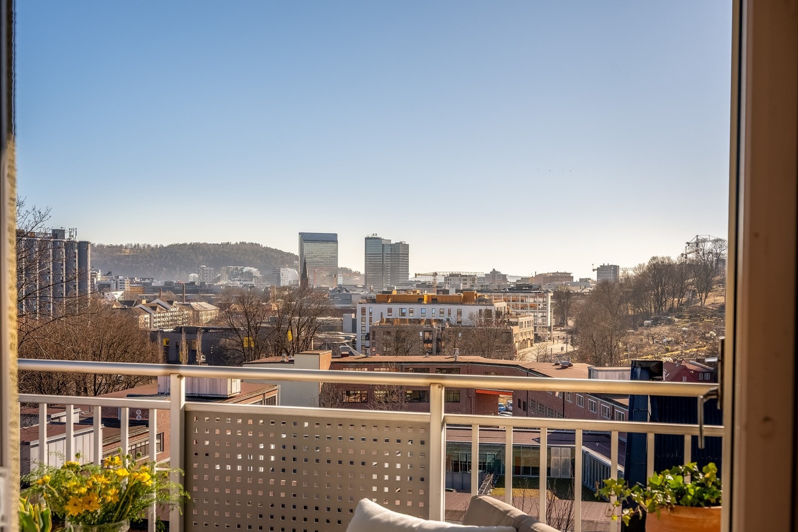 Utsynet strekker seg over den velholdte og frodige felles hagen. Galleribilde