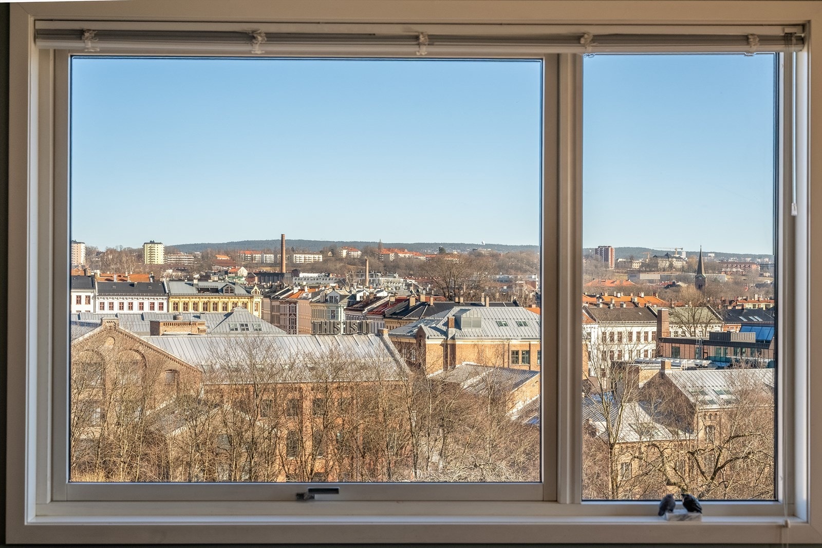 Her lever du fritt over byens tak, helt skjermet fra innsyn. Galleribilde