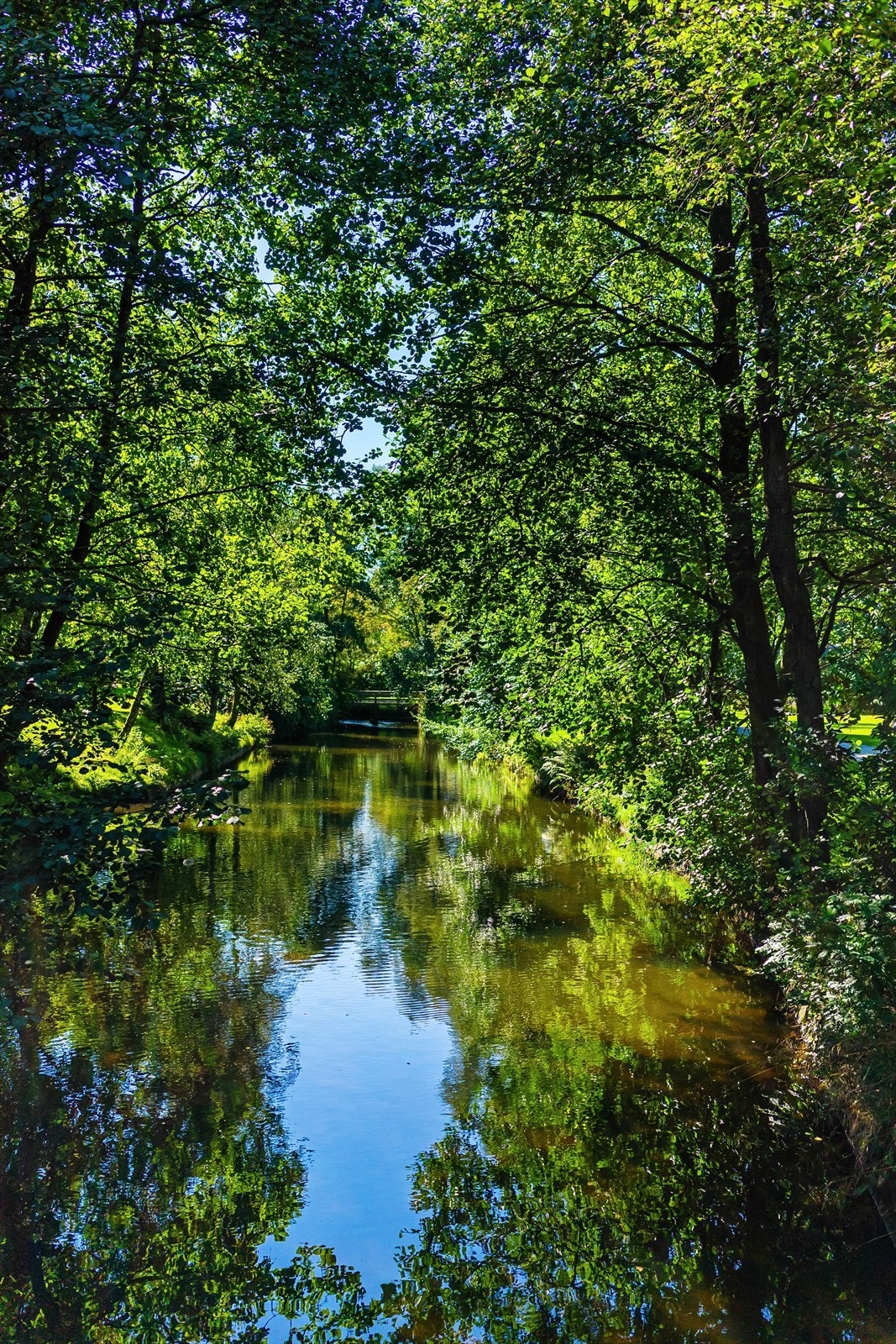 Sandvedparken som nabo gir optimal kombinasjon av byliv, natur, tur og trening. Høy trivsel. Galleribilde