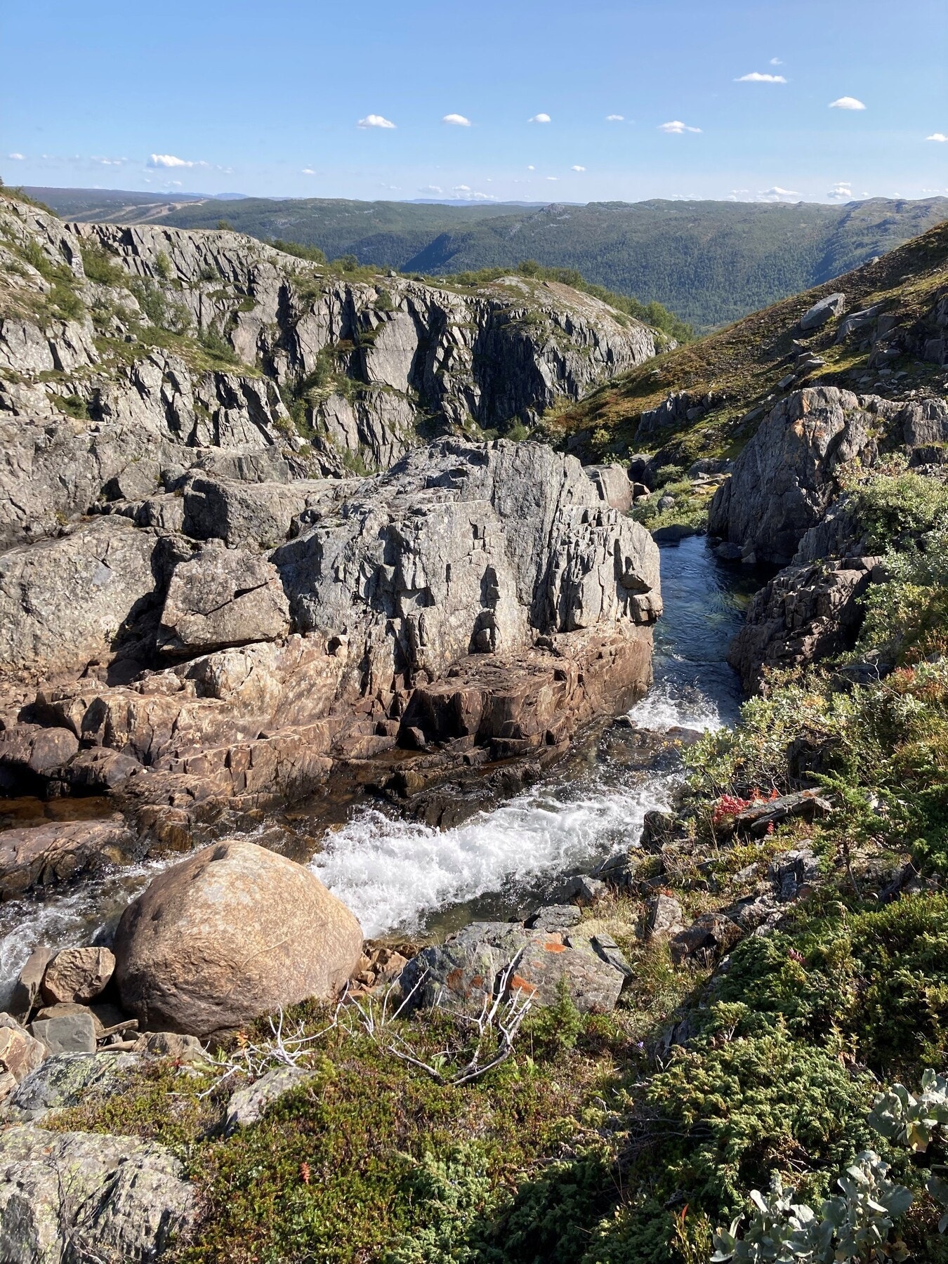Ta bena fatt og dra ut på oppdagelsesferd i nature (selgers eget bilde) Galleribilde