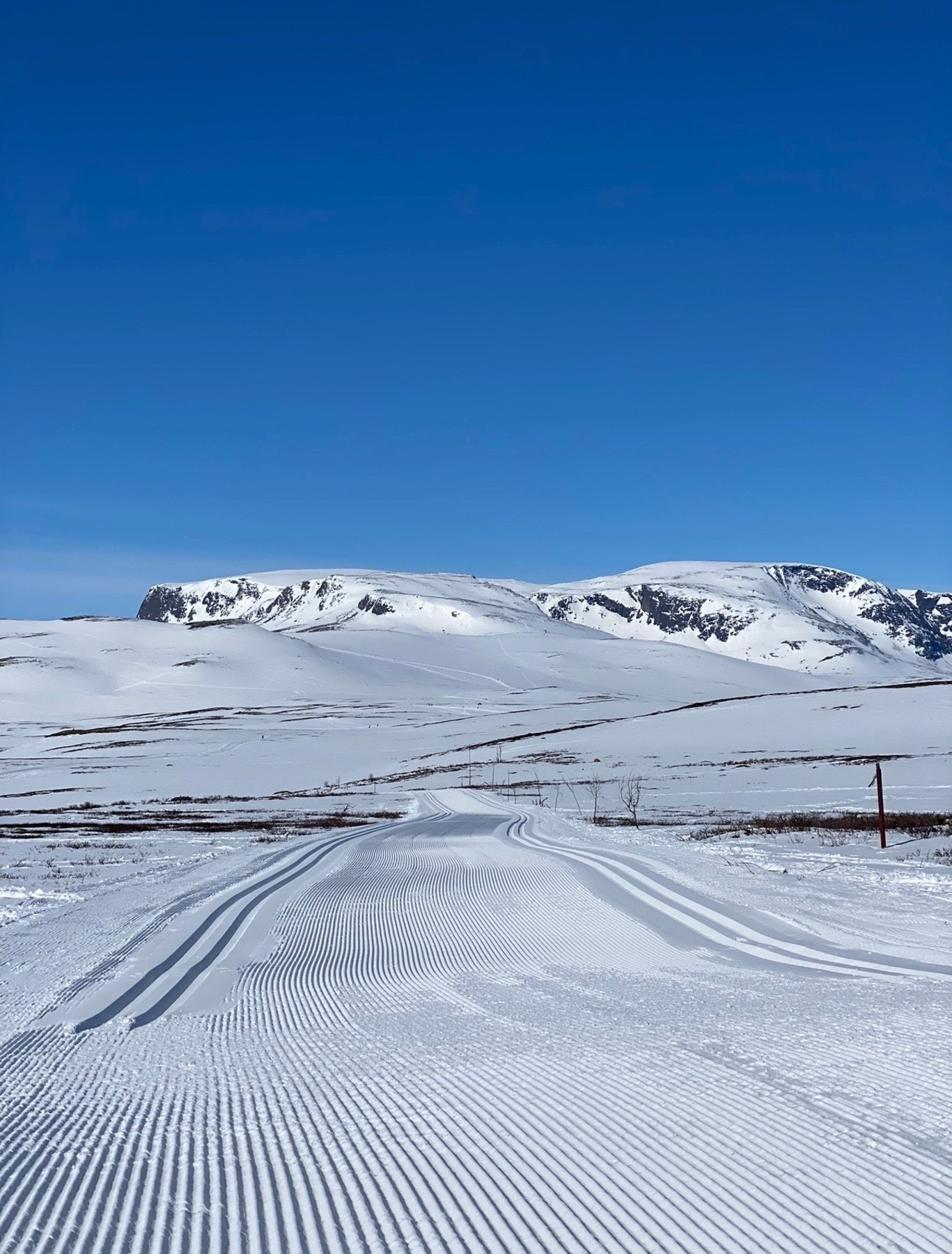 Nyt en flott skitur - området har over 500 km med preparerte langrennsløyper Galleribilde