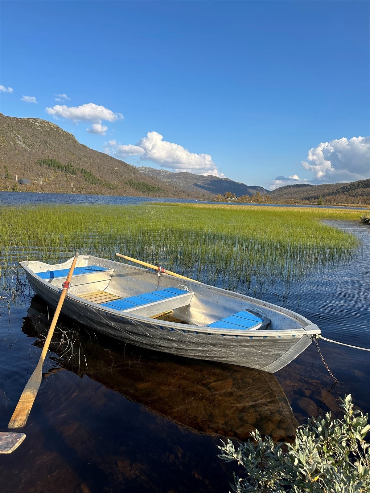 Båt til utlån Galleribilde