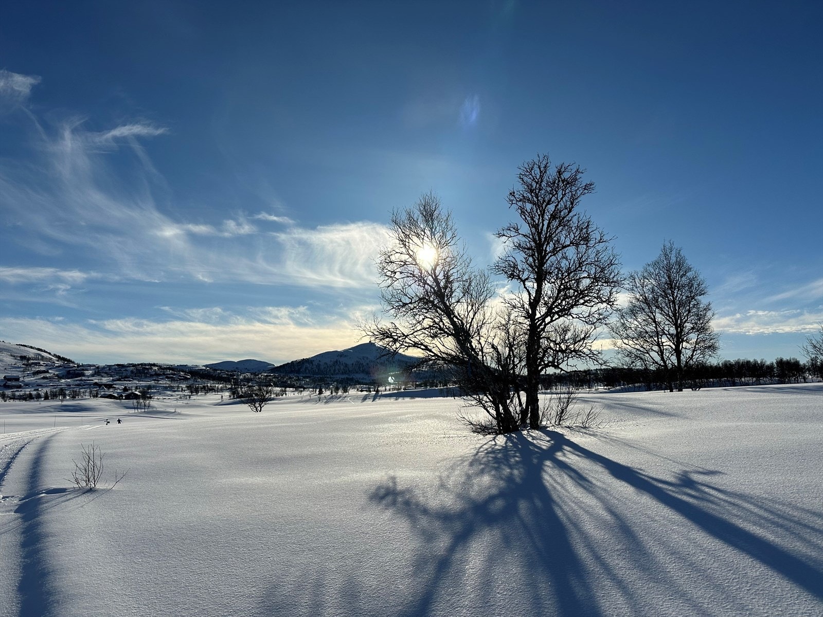 Nærområdet Galleribilde