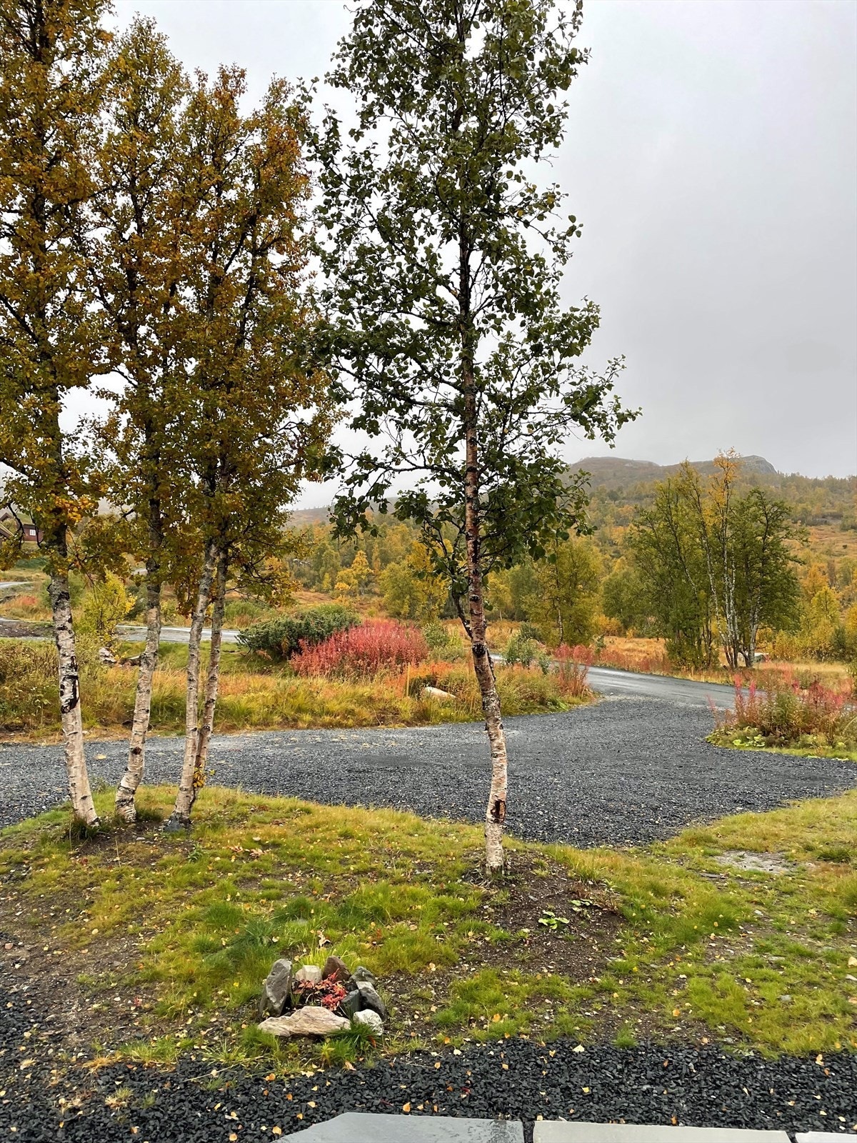 Innkjørsel og parkering Galleribilde