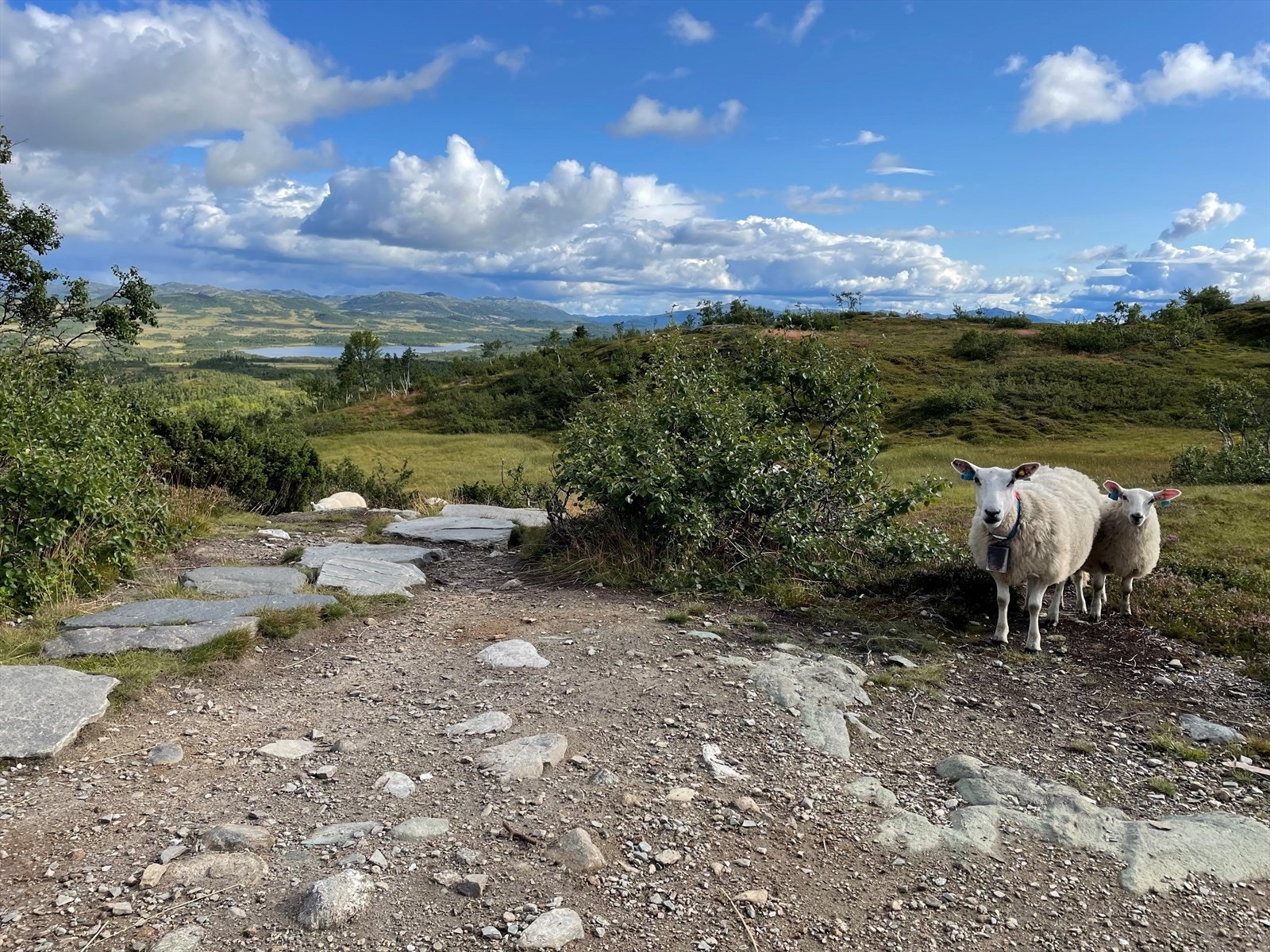 Sherpa-trappene Galleribilde