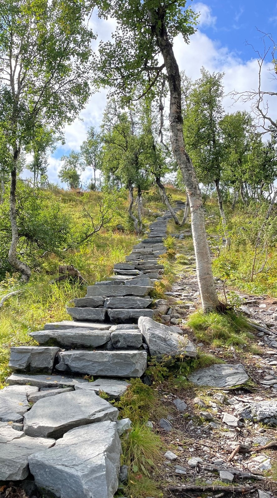 Sherpa-trappene Galleribilde