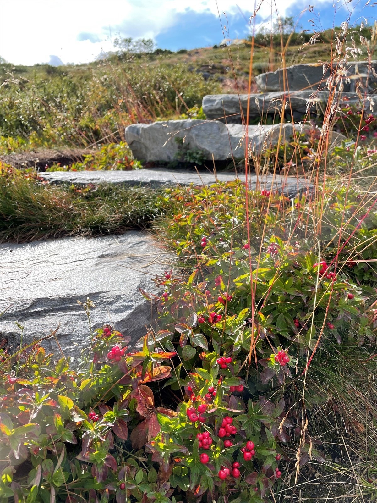 Sherpa-trappene Galleribilde