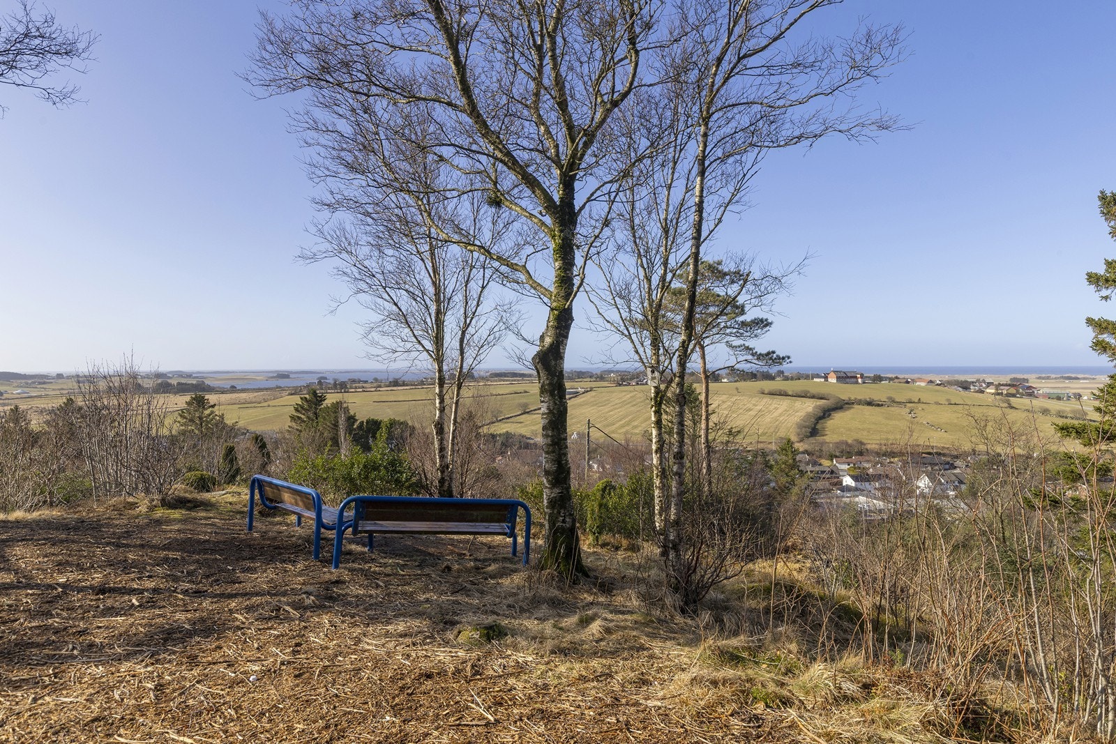Fra leiligheten er det kort avstand til skole, barnehage, buss forbindelser og butikker. Galleribilde