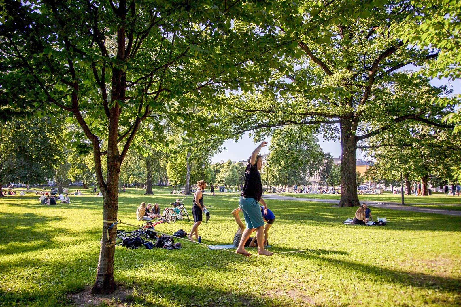 Sofienbergparken som byr på konserter og annet kulturelt. Gåavstand. Galleribilde