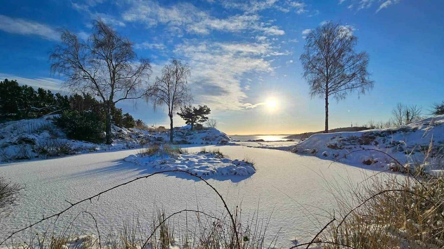 Vinteridyll Galleribilde