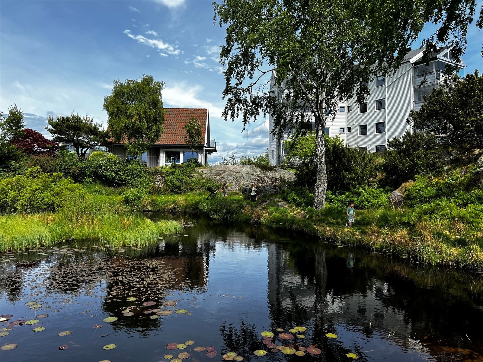 Tomten grenser til friområde Galleribilde