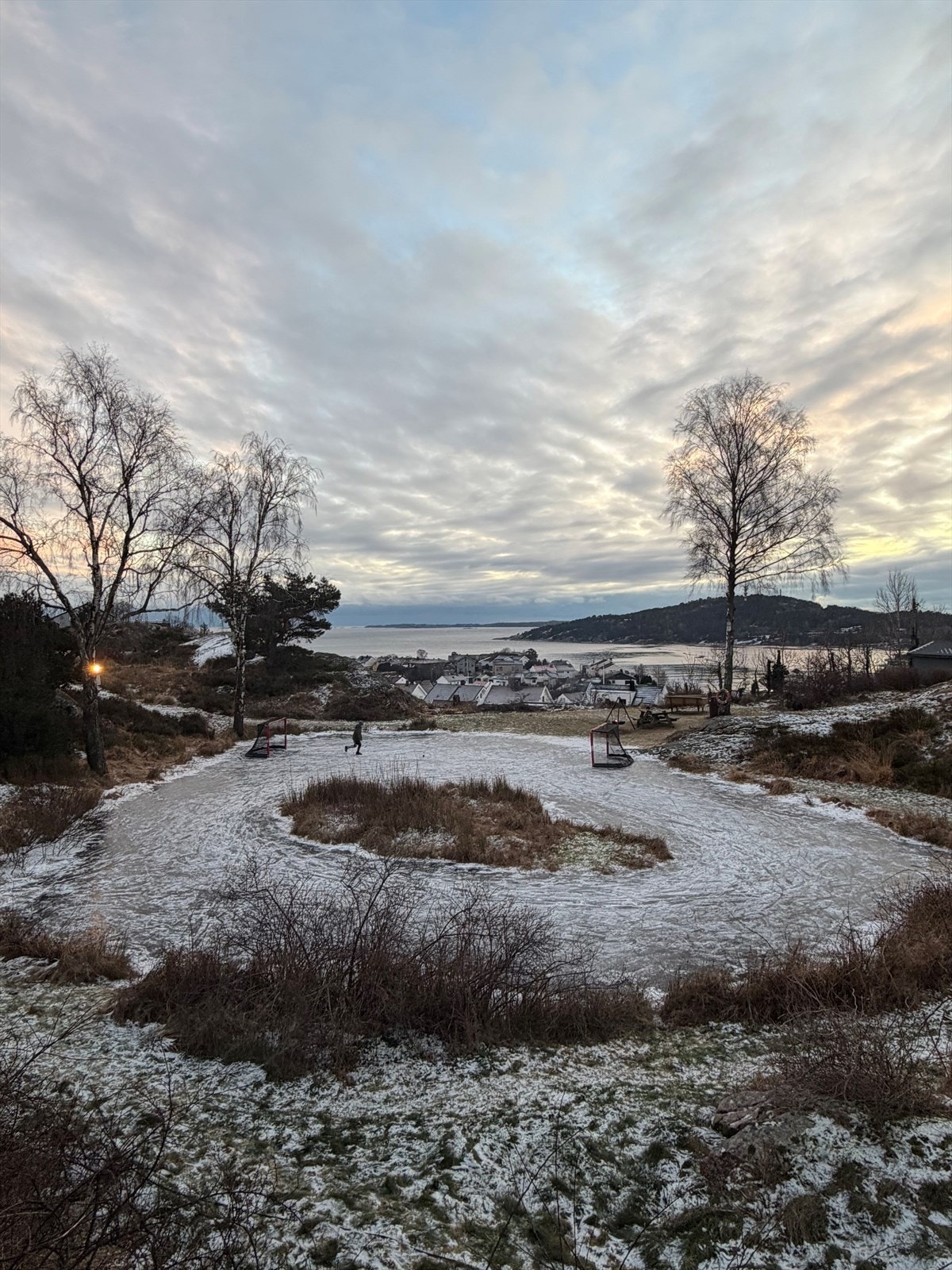 Skøyteis på salamanderdammen Galleribilde