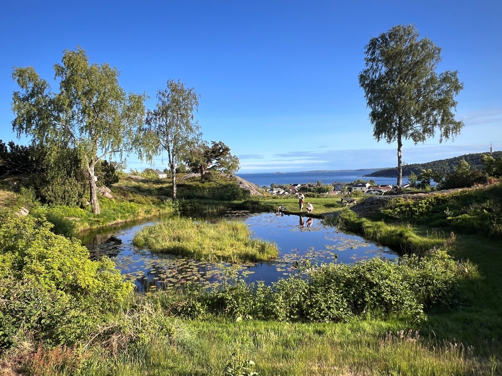 Idyllisk eiendom på Hamreheia Galleribilde