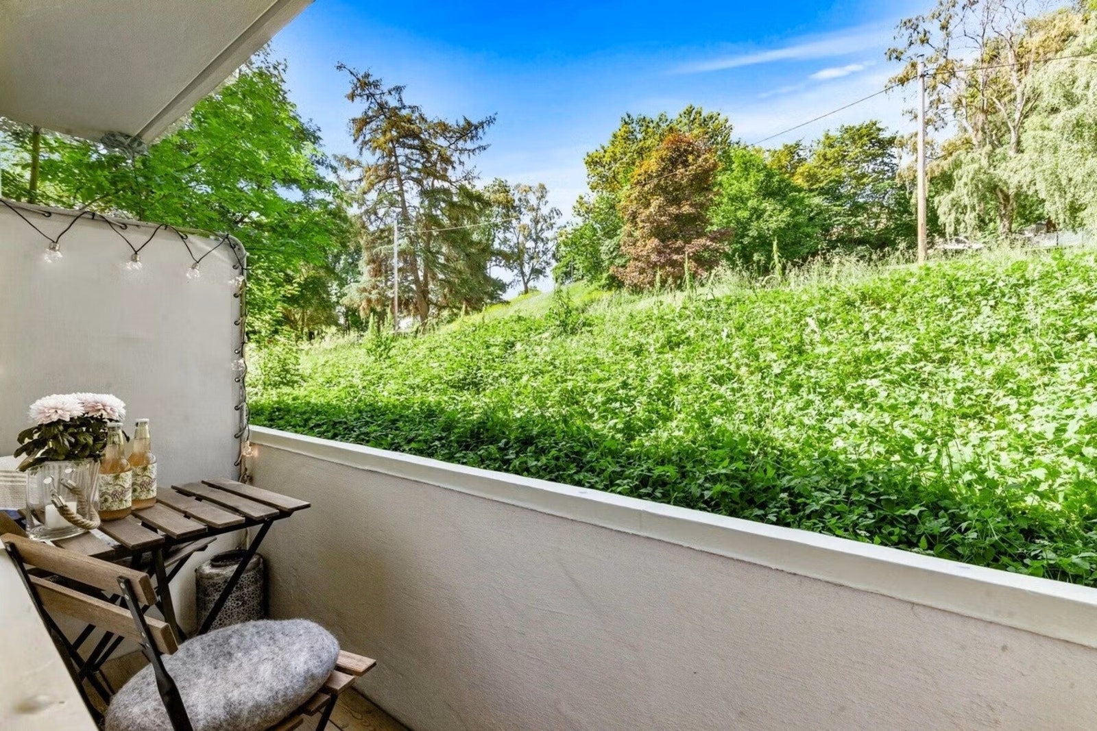 Dette bildet tatt av naboens balkong viser hvor frodig parken blir mot leiligheten på sommertid Galleribilde