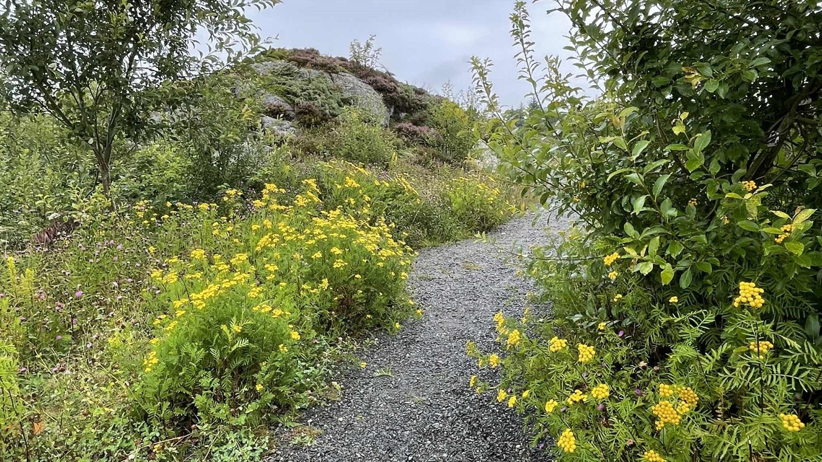 Veien ned til mastra Galleribilde