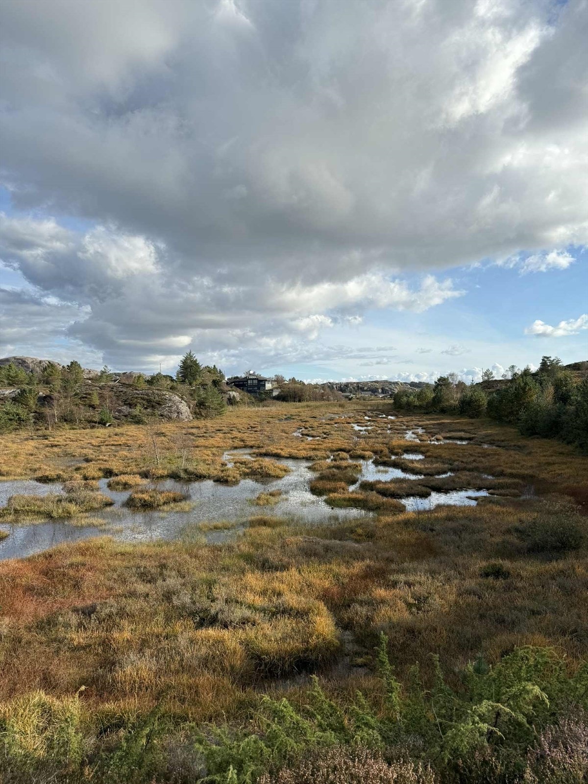 Tur Området Galleribilde
