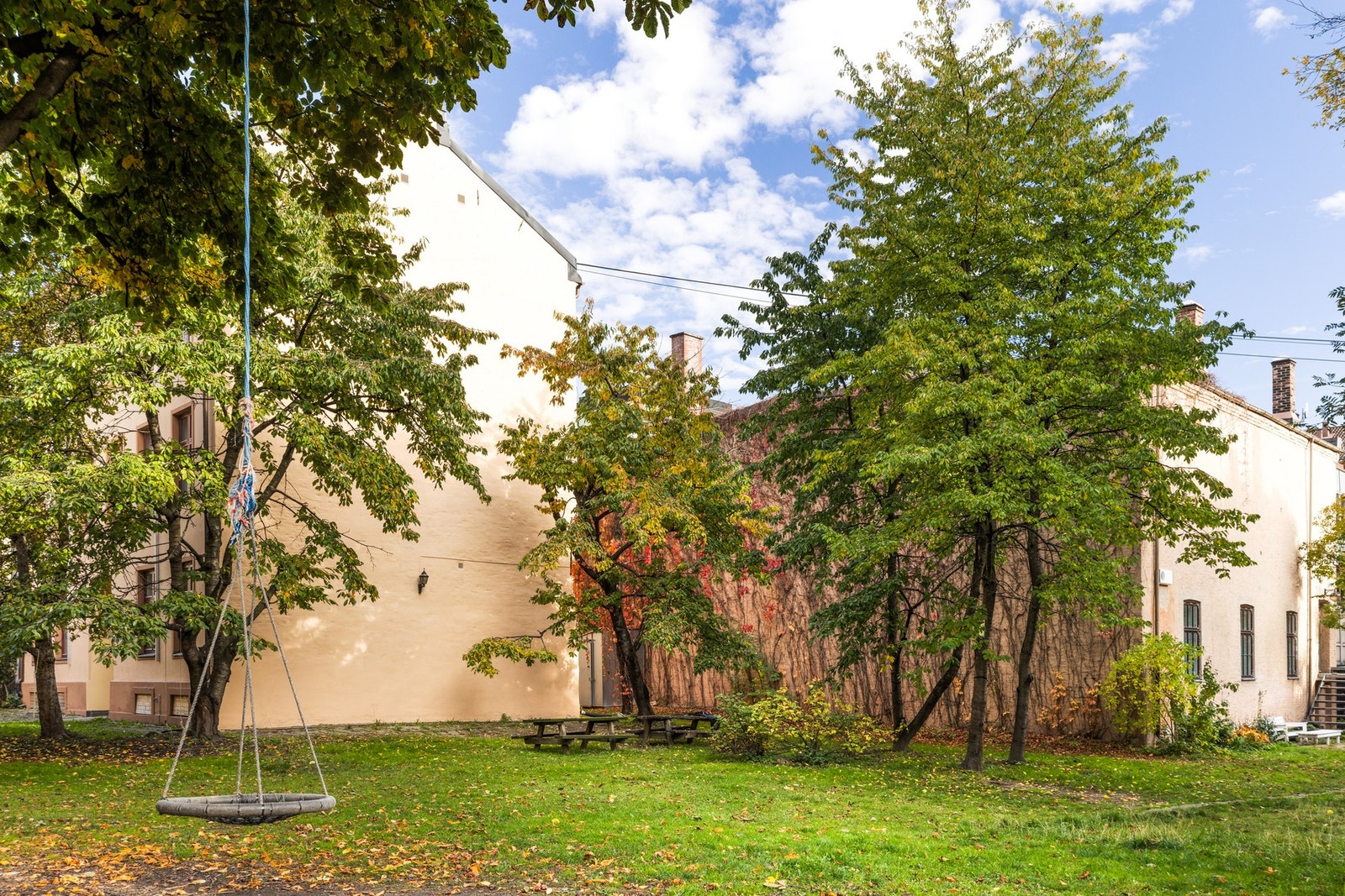 Nydelige bilder av bakgård fra sommerstid.
Foto: Scott Kvitberg v/Fotostallen. Galleribilde