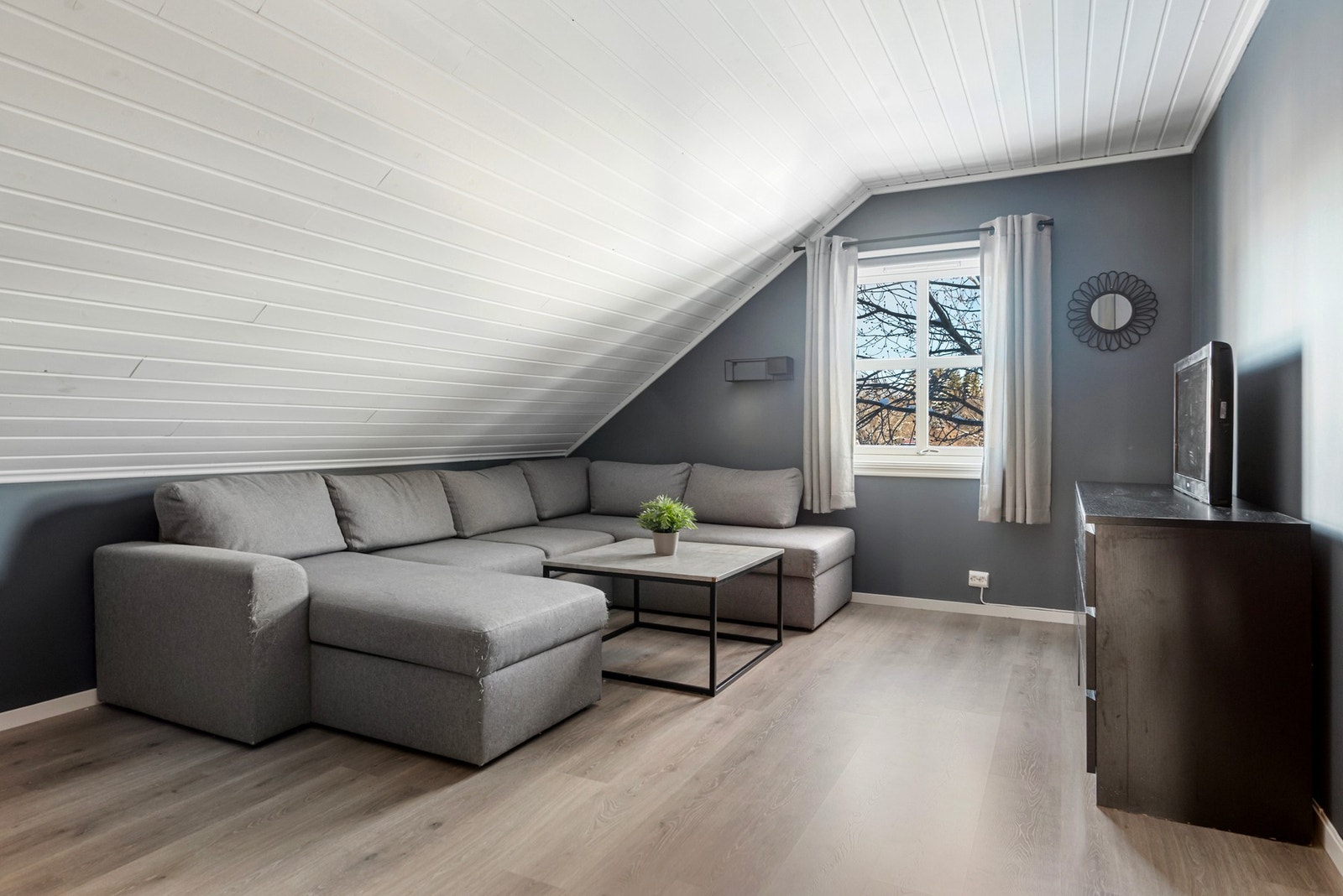 Soverom på hele 19 kvm som er innredet med sofa Galleribilde