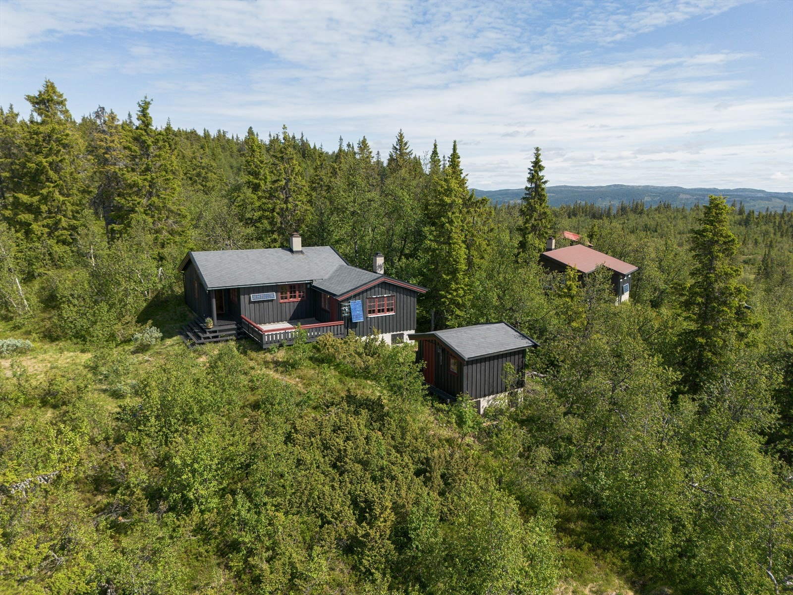 Velkommen til en hyggelig visning! Galleribilde