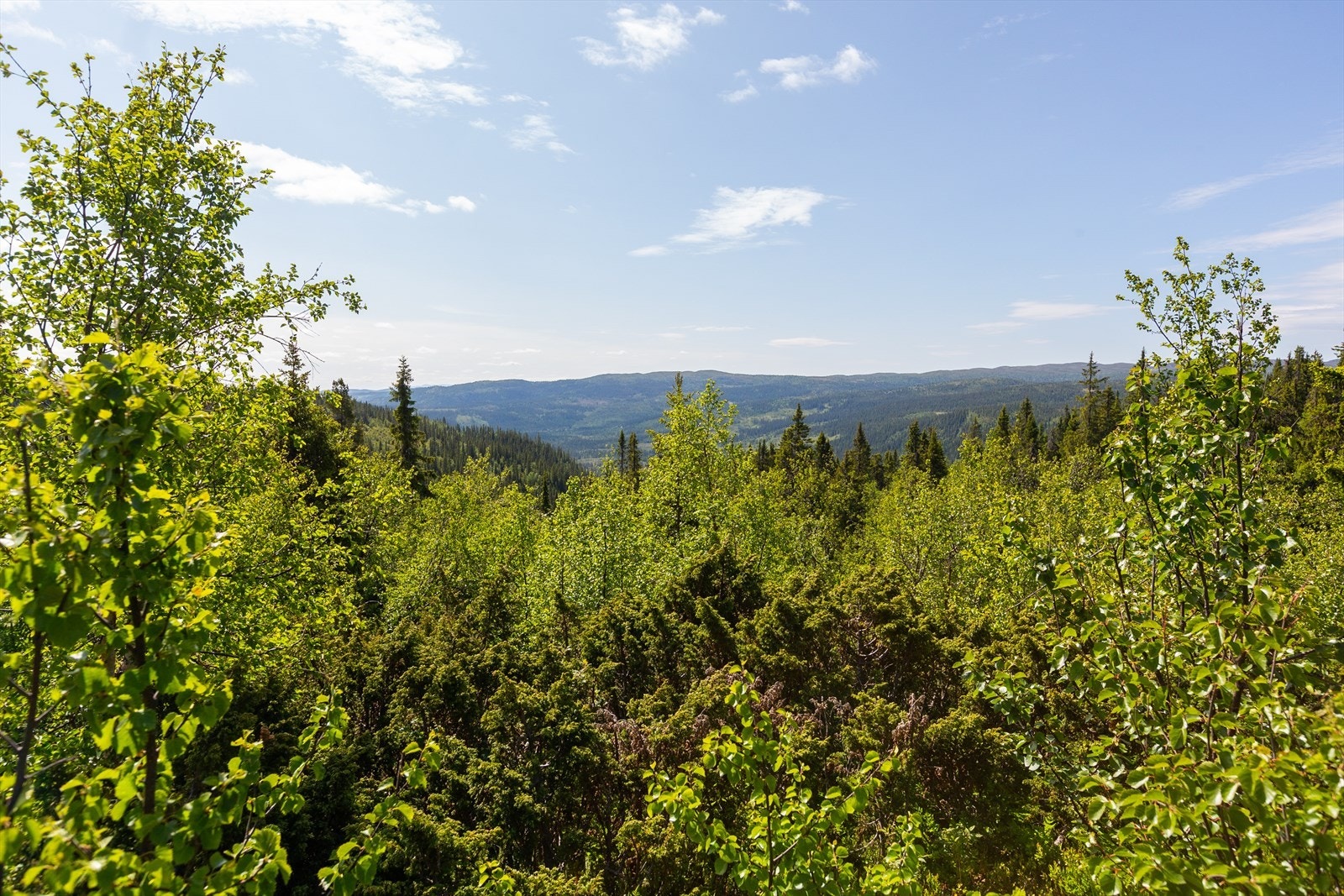 I Tverrbergvegen 29 bor du tett på naturen med umiddelbar tilgang til flott turterreng, samtidig som det er kort vei til både skiløyper og alpinbakke i Stavadalen Alpinsenter. Galleribilde