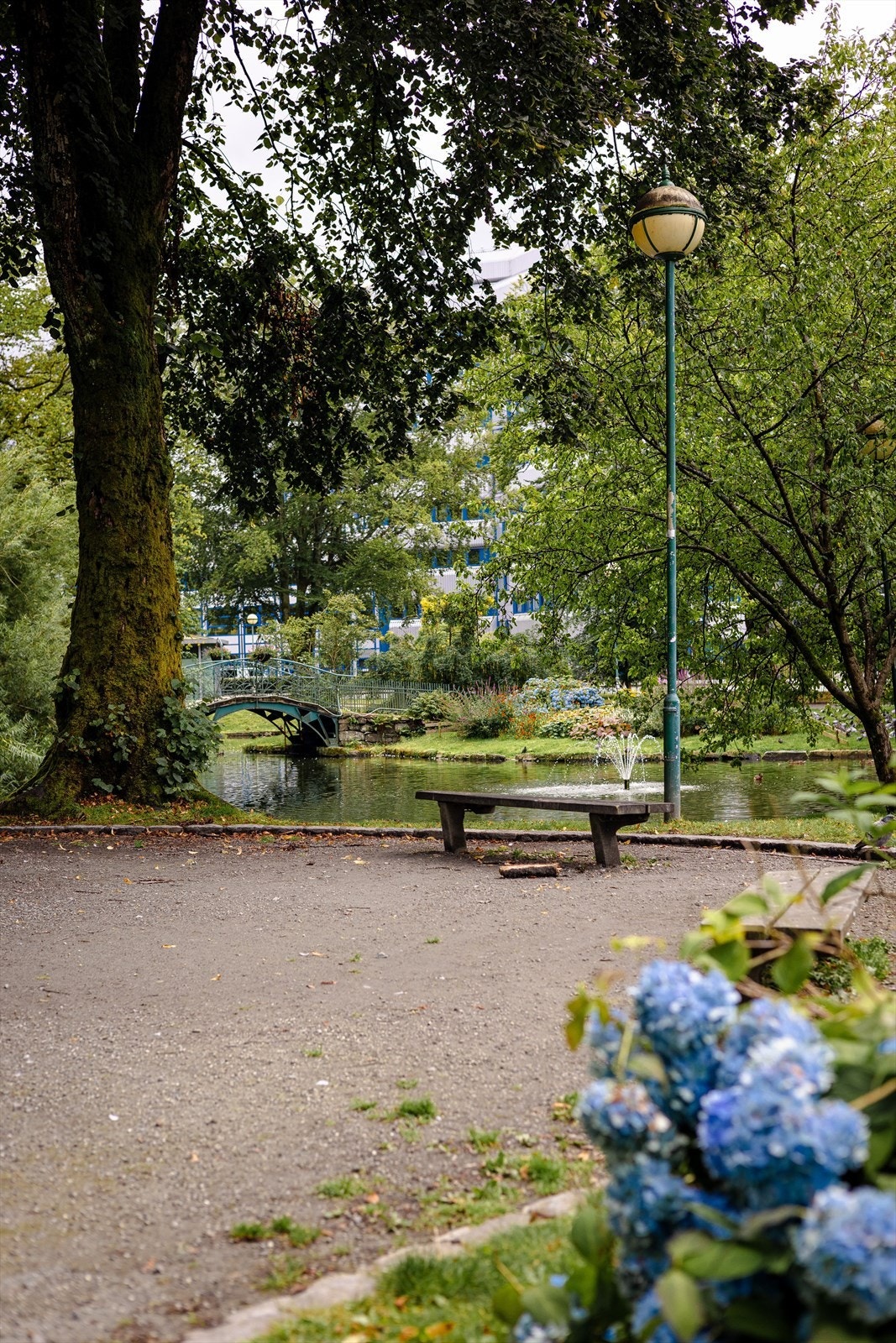 Nærområdet Galleribilde