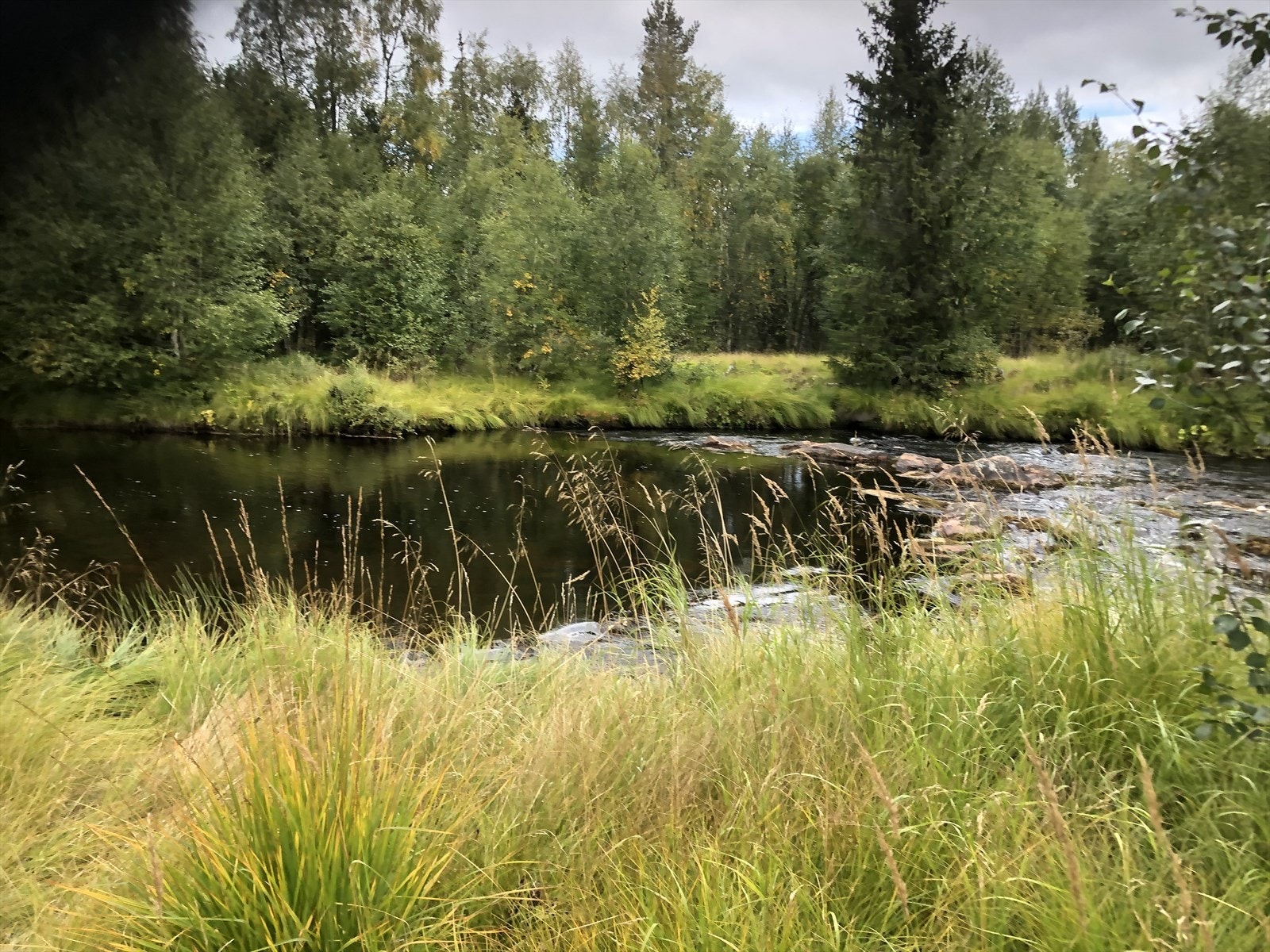 Eiendommen er meget stor og består av både fulldyrket mark, overflatedyrka jord og produktiv skog Galleribilde