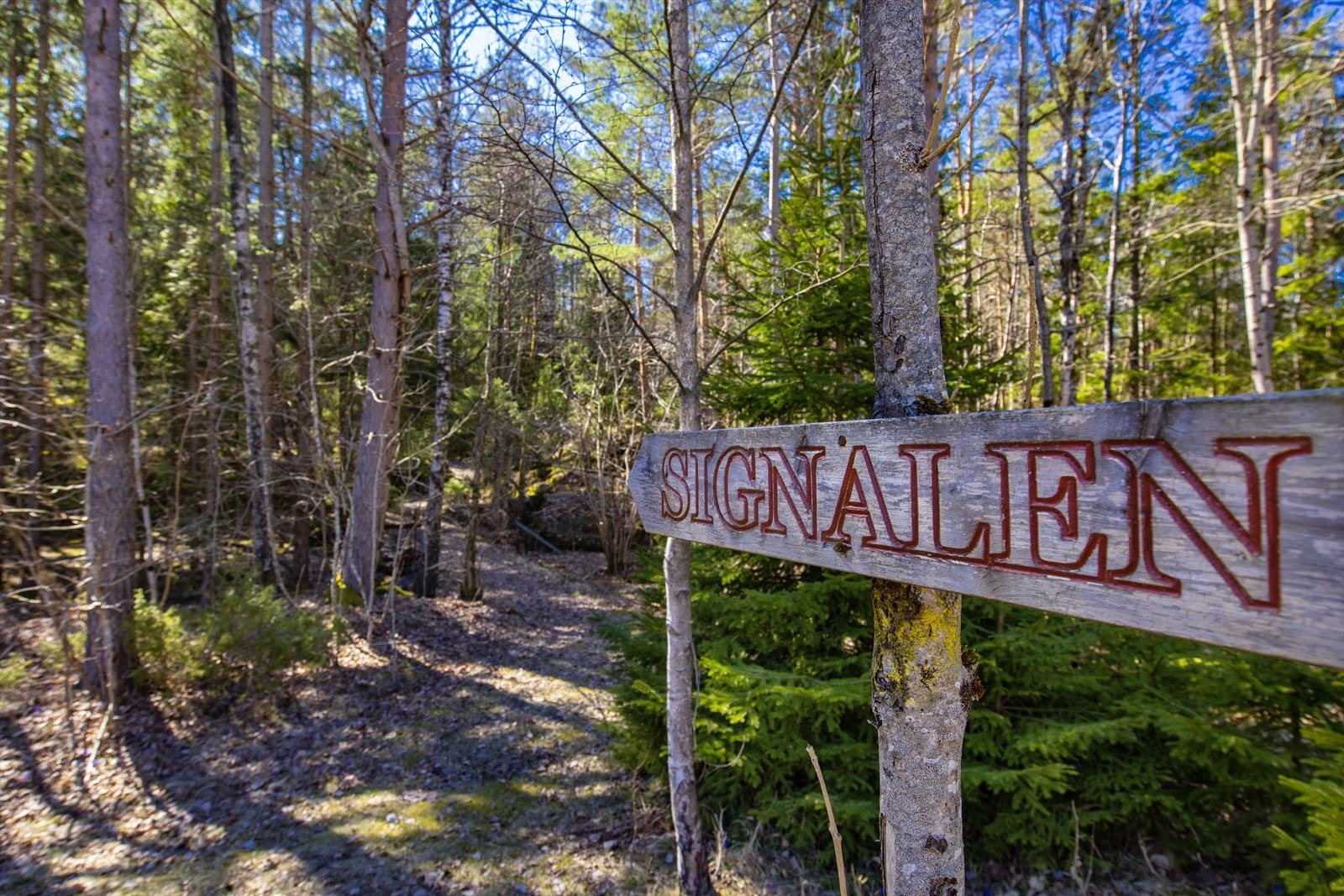 Det er mange gamle stier og veier på eiendommen. Blant annet er det merket turvei opp til Signalen, et fint utsiktspunkt med god utsikt over skjærgården. Galleribilde