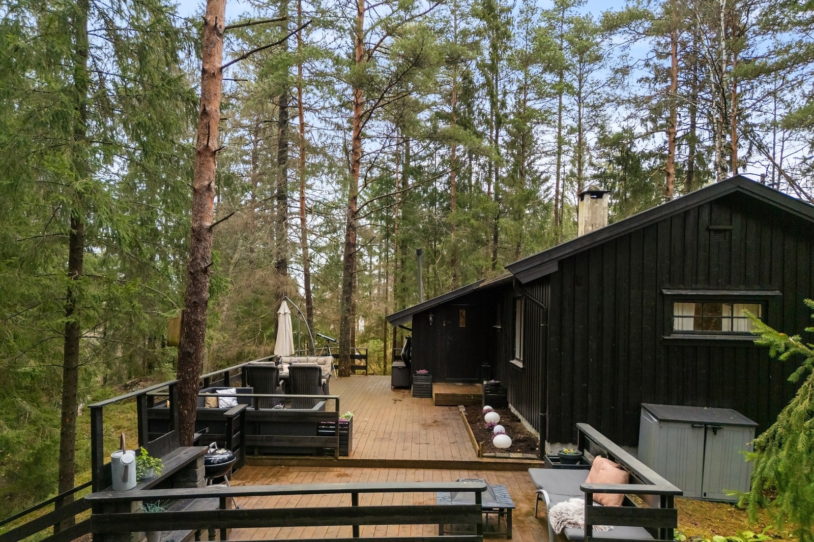 En sjarmerende skogshytte med rusleavstand til Vansjø, hvor du har båtplass Galleribilde