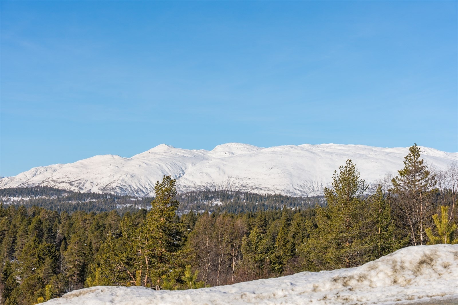 Utsikt mot vakre fjell, skog og dal - her kan du nyte naturens farger og ro. Galleribilde