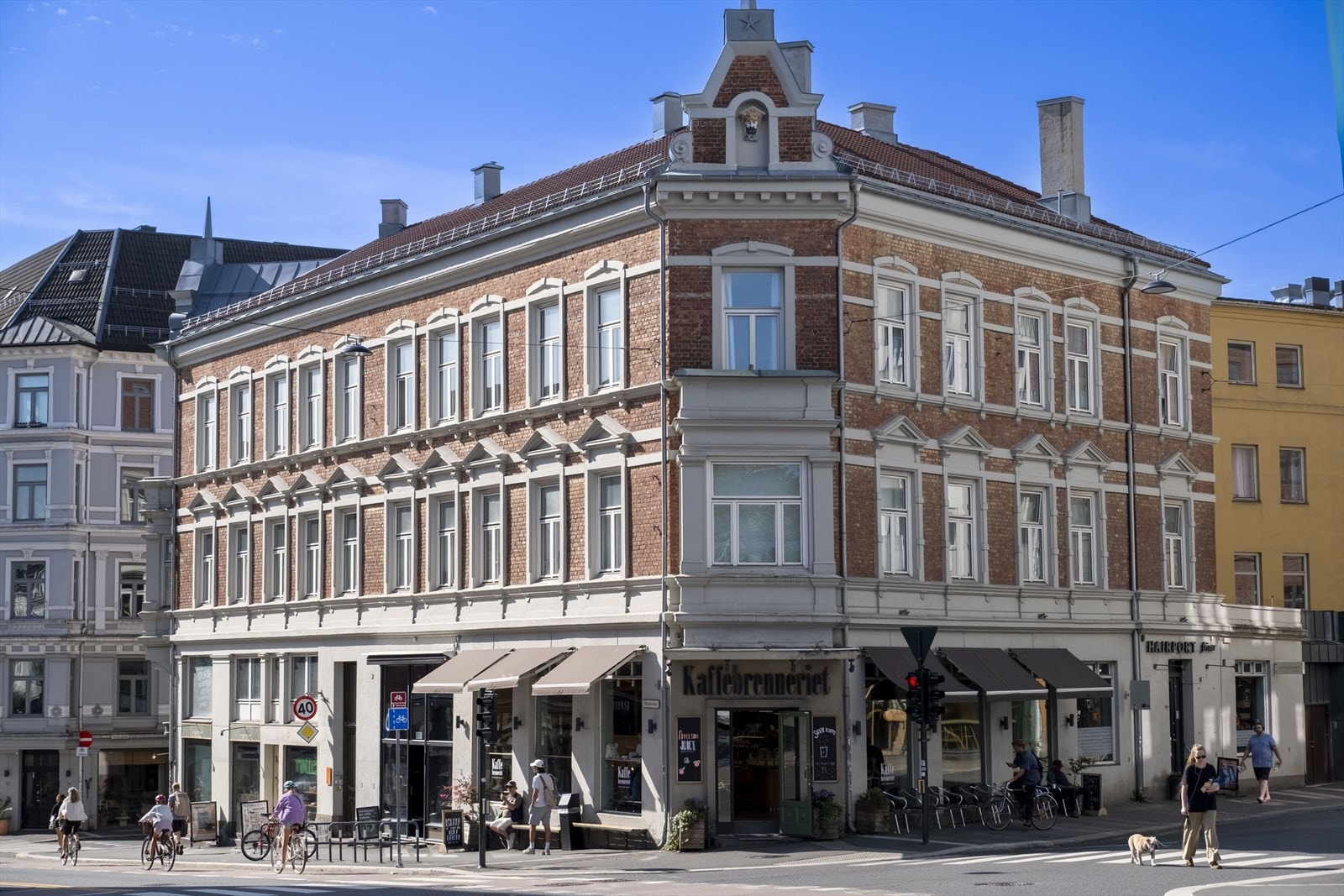 Nærområdet. Galleribilde