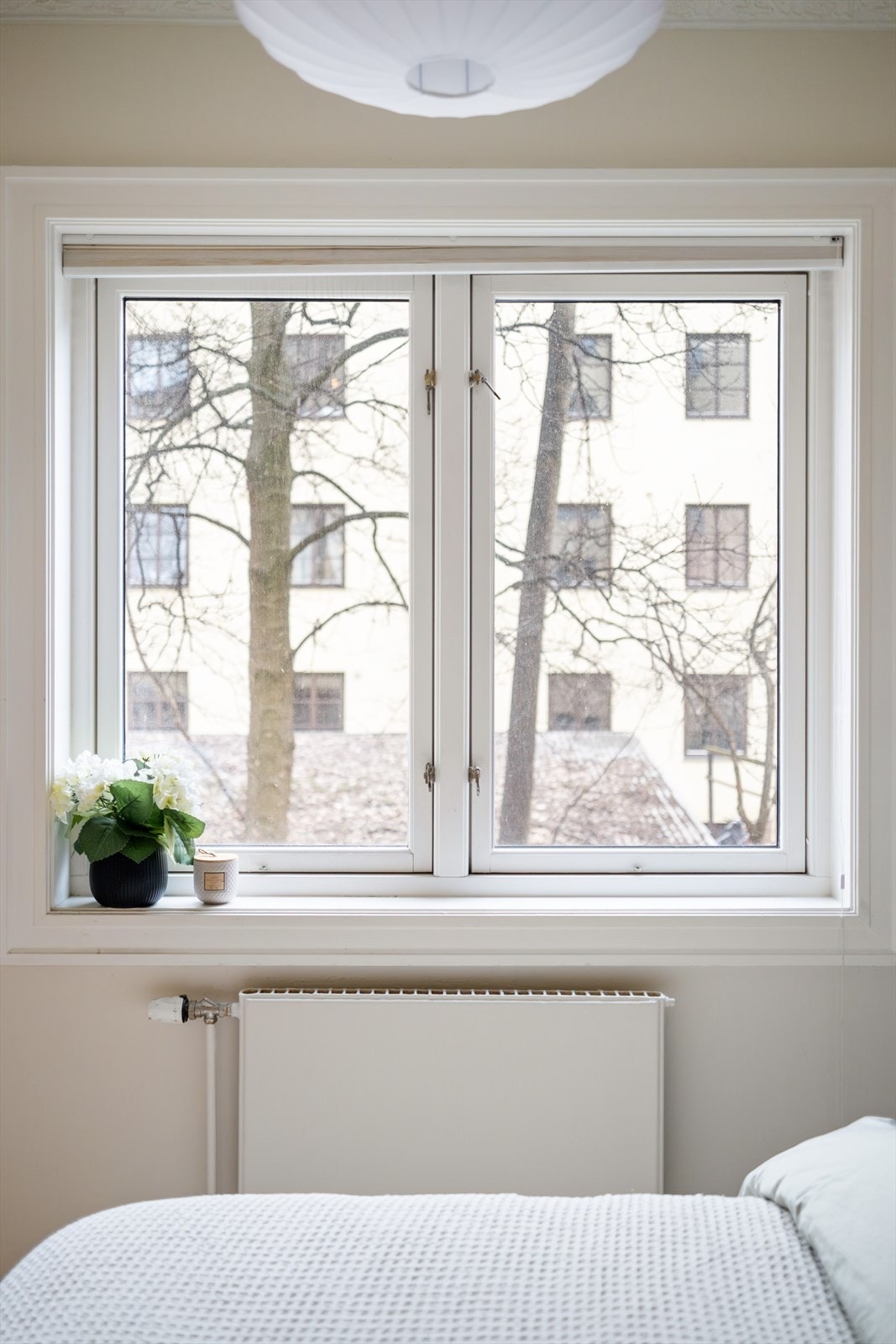 Vindu mot bakgård. Galleribilde