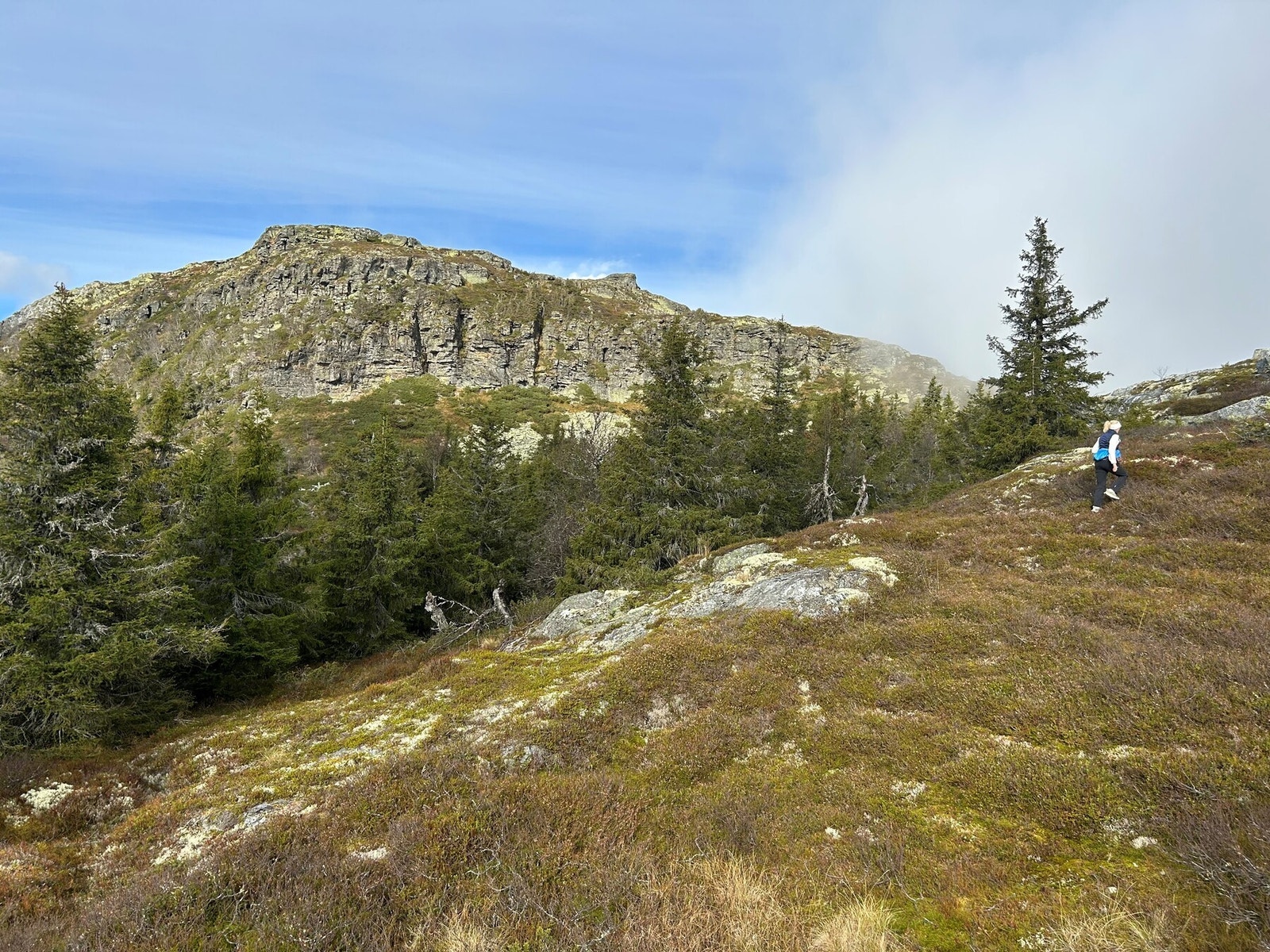 Kvitfjell toppen sommerstid, gå avstand fra leiligheten. Galleribilde